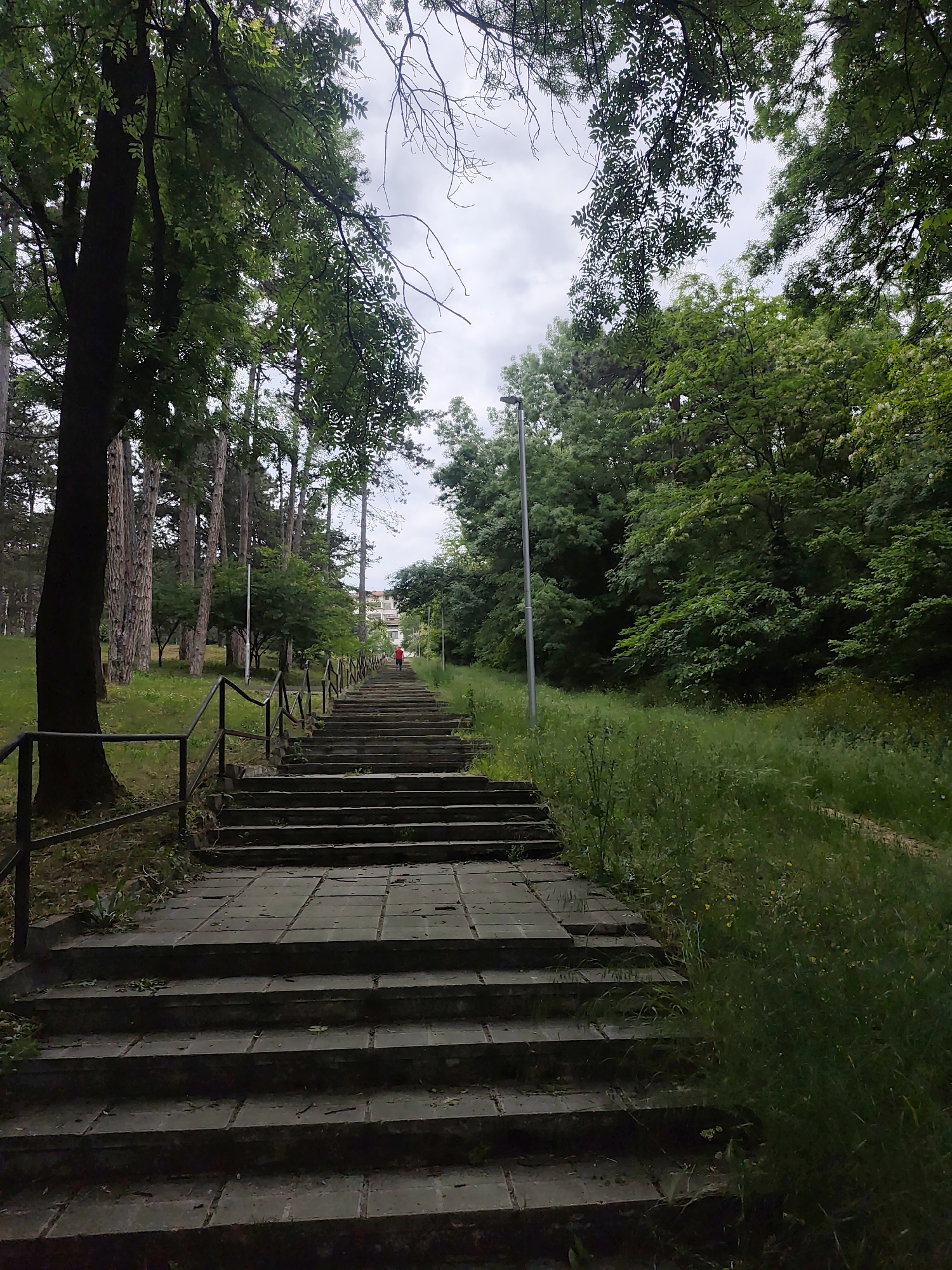 A ground-level, eye-level, full-shot captures a long, stone staircase ascending through a park setting. The stairs have a rough, weathered appearance, with visible cracks and a pattern of paving stones. Metal handrails run along the left side of the stairs.
The environment is lush with greenery. Tall trees line the left side of the stairs, providing shade. On the right side, tall grass and wildflowers grow, indicating a less manicured area. A narrow dirt path runs parallel to the stairs on the right.
A solitary person, wearing a red shirt, is seen walking up the stairs. In the background, the top of a building is visible. The sky overhead is overcast and gray. The overall impression is one of a natural, slightly overgrown space within an urban or suburban environment.