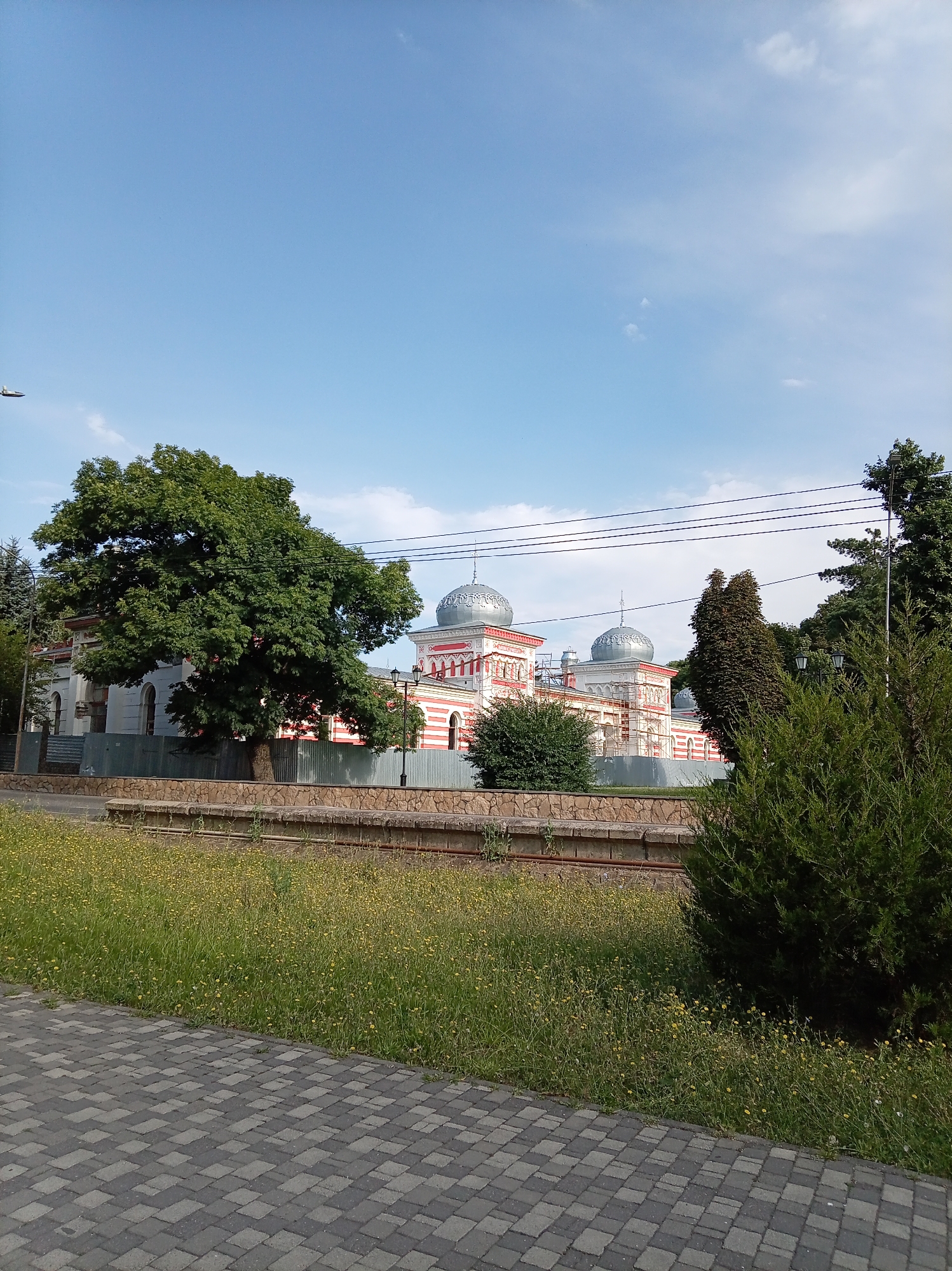 The image shows the exterior of a building in Zheleznovodsk, Russia. The building features white walls with red horizontal stripes and two silver domes. It is surrounded by a metal fence and a stone wall. In the foreground, there is a paved walkway made of grey and black rectangular stones. To the left of the building, a large, leafy green tree stands prominently. In front of the building and to the right, there is a grassy area with scattered yellow wildflowers and some evergreen bushes. Power lines are visible in the sky above the building. The sky is blue with a few scattered white clouds. An airplane is faintly visible in the upper left corner of the sky.