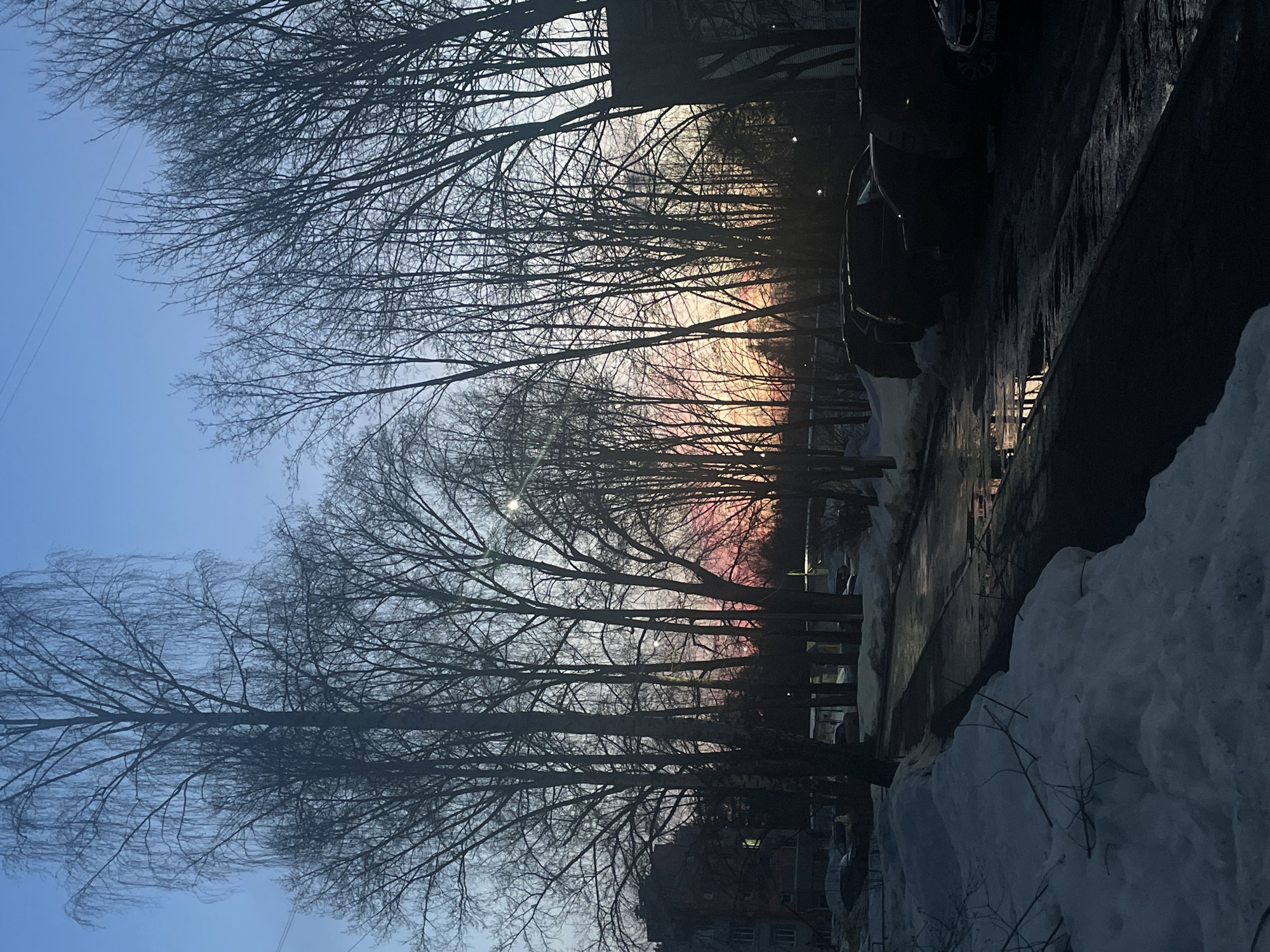 The image depicts a static outdoor scene in Chaikovsky, Russia, during twilight hours, likely late winter or early spring. The sky transitions from deep blue at the top, through pale blue, to vibrant orange and pink along the horizon, suggesting either dawn or dusk. Numerous tall, bare deciduous trees, including a prominent birch on the left, are silhouetted against the sky, forming a dense line across the midground.
In the foreground, the left side is covered with uneven snowdrifts, where several small fallen branches are visible. A wet, dark paved surface, possibly a street or pathway, extends from the center-left towards the right foreground. This surface is reflective and contains multiple puddles, mirroring the colors of the sky and a localized bright light source, likely a streetlamp, on the far right.
To the left, a multi-story, reddish-brown residential building with illuminated windows is partially visible. On the right side of the paved surface, a line of dark-colored parked vehicles, including sedans and SUVs, is present. Their forms are largely obscured by shadows, but a partial Russian license plate (e.g., "7_8 _") is faintly discernible on the rear of one vehicle on the extreme right. Another dark building structure is partially visible on the far right. No people or active interactions are visible in the scene.