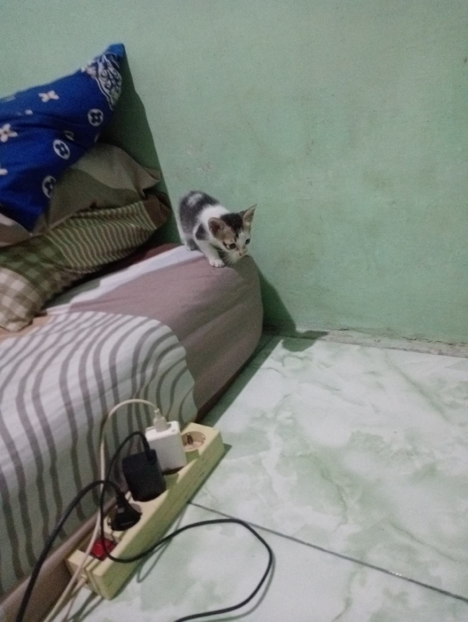 A black and white kitten is perched on a bed in a room. The kitten is looking downwards. The bed has a patterned duvet and pillows. A blue pillow with a white pattern is visible on the left side of the bed. In the foreground, a power strip with multiple plugs and cables is resting on the bed. The walls of the room are a pale green color, and the floor is tiled with a marble-like pattern. The scene appears to be in a residential setting in Kota Negara Timur, Indonesia, likely a bedroom.