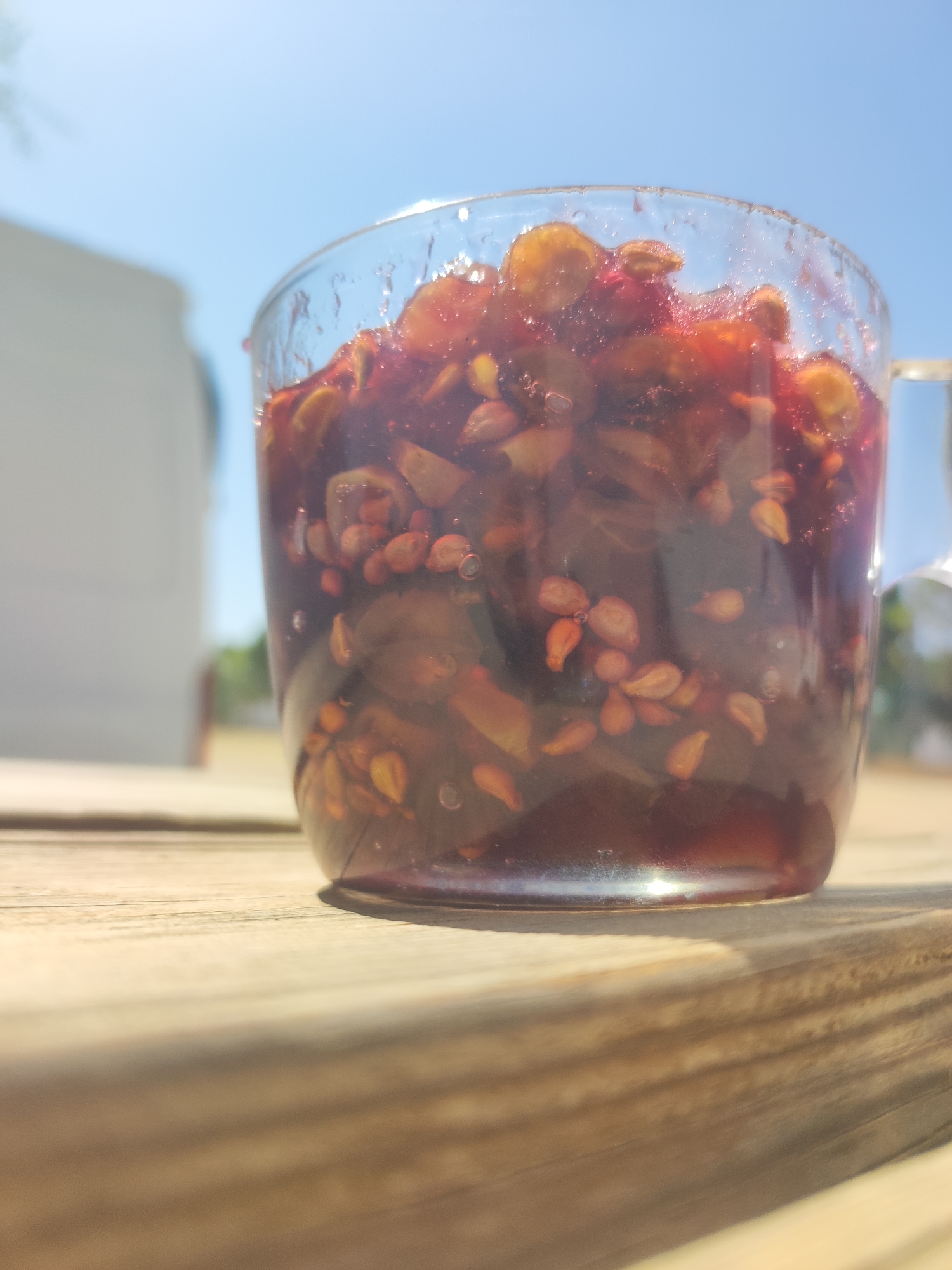 A glass cup filled with a dark reddish-brown mixture, containing numerous small, light brown seeds and pieces of fruit, sits on a wooden surface. The cup is transparent, allowing the contents to be seen clearly, with some bubbles visible within the liquid. The wooden surface is composed of parallel planks, with visible grain and texture. In the background, out of focus, a white object, possibly a building or structure, is visible against a bright blue sky. The lighting suggests a sunny day. The image is taken at an angle, focusing on the cup and its contents, with a shallow depth of field that blurs the background. There is no discernible location in the city of Villarejo De Fuentes, Spain.