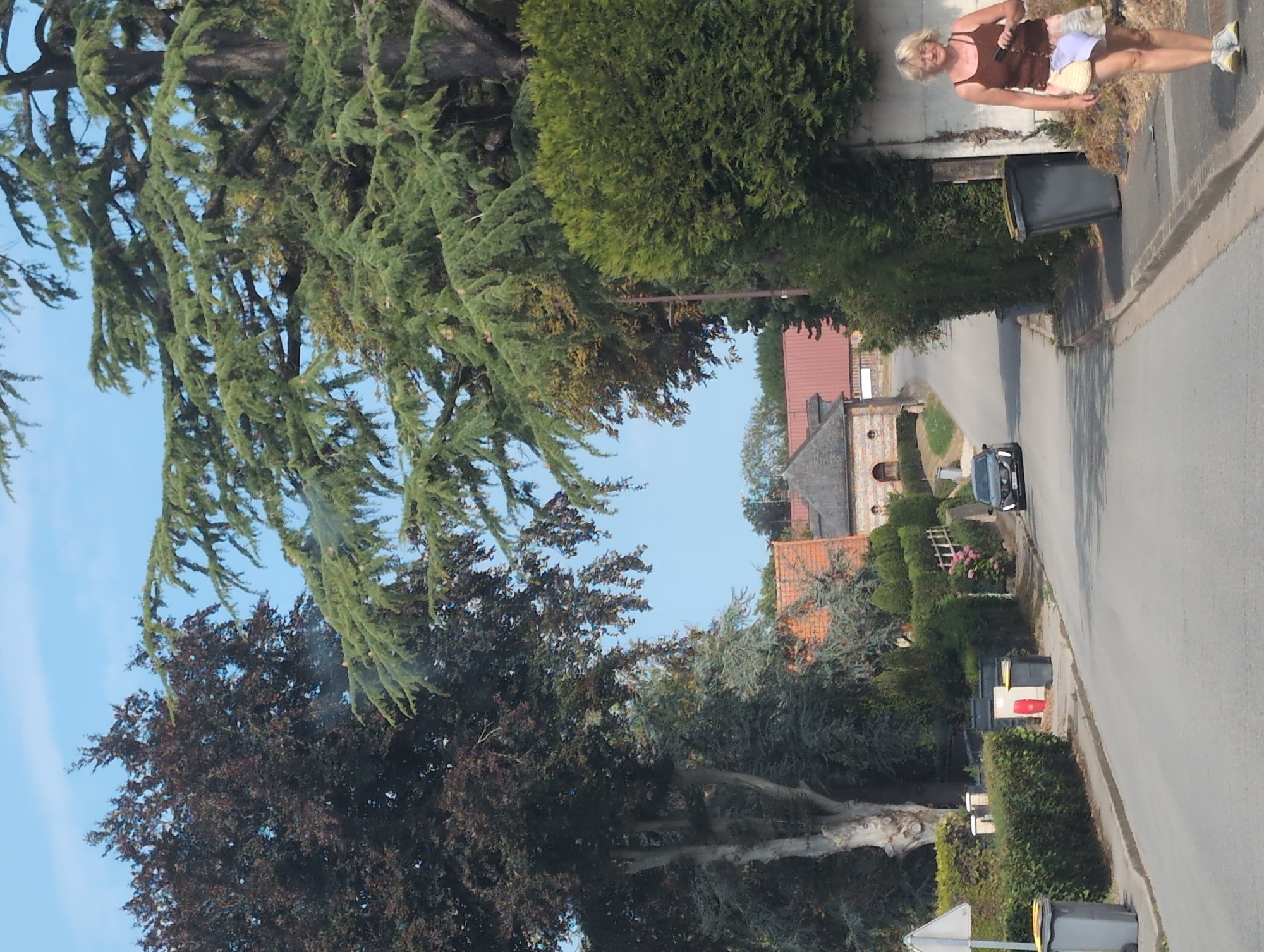 The image depicts a street scene in Hautot-sur-Mer, France, on a sunny day. The foreground shows a paved road with a sidewalk on the right. A woman with blonde hair, wearing a brown tank top and a patterned skirt, is walking on the sidewalk. She is carrying a dark object in her right hand and has a light-colored hat with a blue scarf draped over her left arm. Behind her, a large, light-colored wall is visible, adorned with vines. Further down the sidewalk, a large grey trash bin is placed.
The street curves gently uphill. On the left side of the road, there is a row of hedges and several trash bins, including a grey one and a red one. A white triangular sign is also present on the left. A dark-colored car is driving up the street, and beyond it, houses with red-tiled roofs and stone facades are visible, surrounded by lush greenery and trees. Towering trees, one with dark foliage and another with prominent green branches, frame the upper portion of the image. The sky is clear and blue.