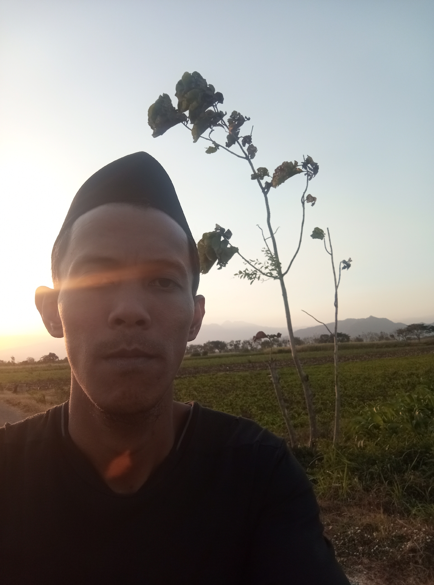 A selfie is taken by a person wearing a black cap and a black t-shirt, possibly in the city of Ngablak, Indonesia. The person's face is in the foreground, with the sun casting a lens flare across their left eye. Behind them, a field of green crops stretches towards a distant mountain range. Two slender trees with sparse foliage stand in the middle ground, silhouetted against the pale sky. The lighting suggests it is either sunrise or sunset.