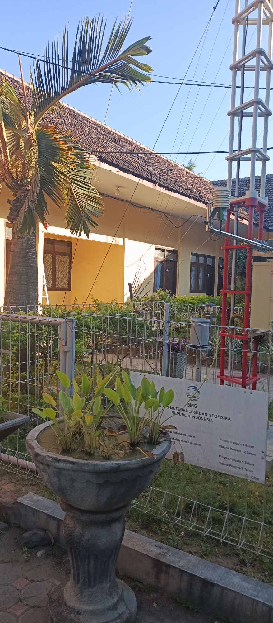 The image depicts an outdoor scene in the city of Arjasa, Indonesia, on a clear day. In the foreground, a large, decorative concrete planter holds several lush green aquatic plants. To the left of the planter, a palm tree with a textured trunk extends upwards, its fronds casting shadows. Behind the planter and palm tree, a metal fence encloses a grassy area. Beyond the fence, a pale yellow building with a tiled roof is visible. The building has several windows with dark frames and brown doors. Electrical wires are strung across the scene, connecting to a tall metal tower structure on the right side of the frame, which appears to be part of a weather station, indicated by a white sign with text and a logo that reads "BMG BADAN METEOROLOGI DAN GEOFISIKA REPUBLIK INDONESIA". The overall environment appears to be well-maintained, suggesting a public or institutional setting. There are no people visible in the image.