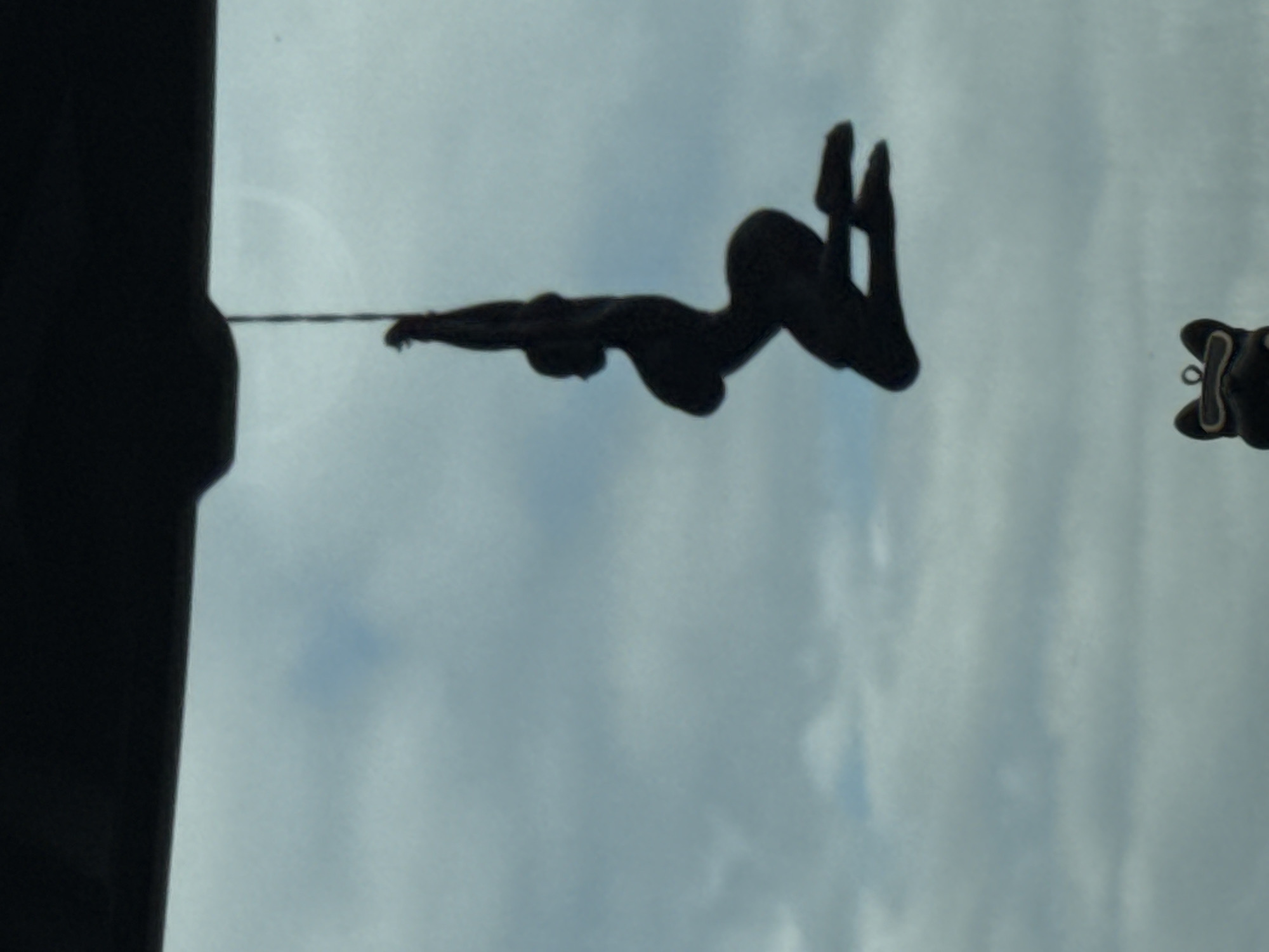 A black silhouette of a person is hanging from a thin string against a cloudy sky. The figure appears to be in a dynamic pose, with one arm raised and the body arched. The silhouette is suspended from a dark object at the top of the frame. Below the hanging figure, closer to the bottom of the frame, is another black silhouette, this one appearing to be a stylized representation of a cat's head. The background consists of muted blue and gray clouds. The location in Pervomaiskoe, Russia, is not discernible from the image.