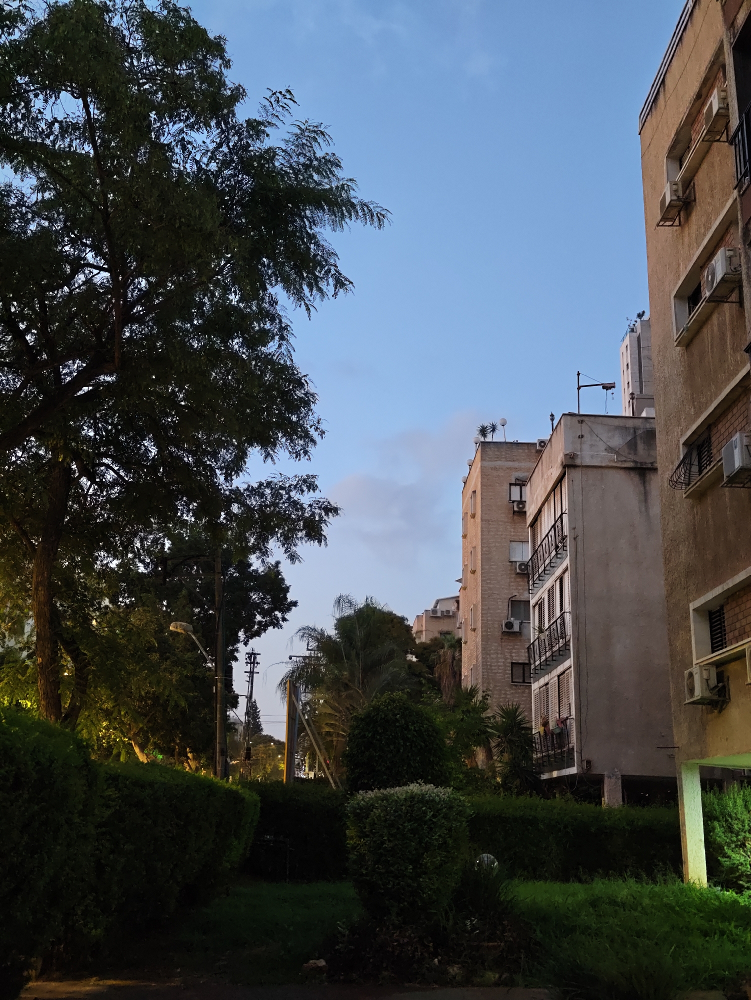 The image depicts a street scene in Petah Tikva, Israel, likely during twilight or early evening. A large, leafy tree dominates the left side of the frame, casting shadows over a neatly trimmed green hedge in the foreground. Behind the hedge, a street light illuminates part of the foliage.
In the background, several apartment buildings are visible. The closest building on the right has a light-colored facade and several visible air conditioning units mounted on its exterior. To the left of this building, other apartment buildings of varying heights and architectural styles are lined up, also featuring air conditioning units and balconies. Some buildings have a brick facade, while others are plastered.
A utility pole with wires is visible between the trees and the buildings, suggesting the presence of infrastructure. The sky is a clear, pale blue, indicating the transition from day to night. The overall impression is of a residential urban environment in Israel.