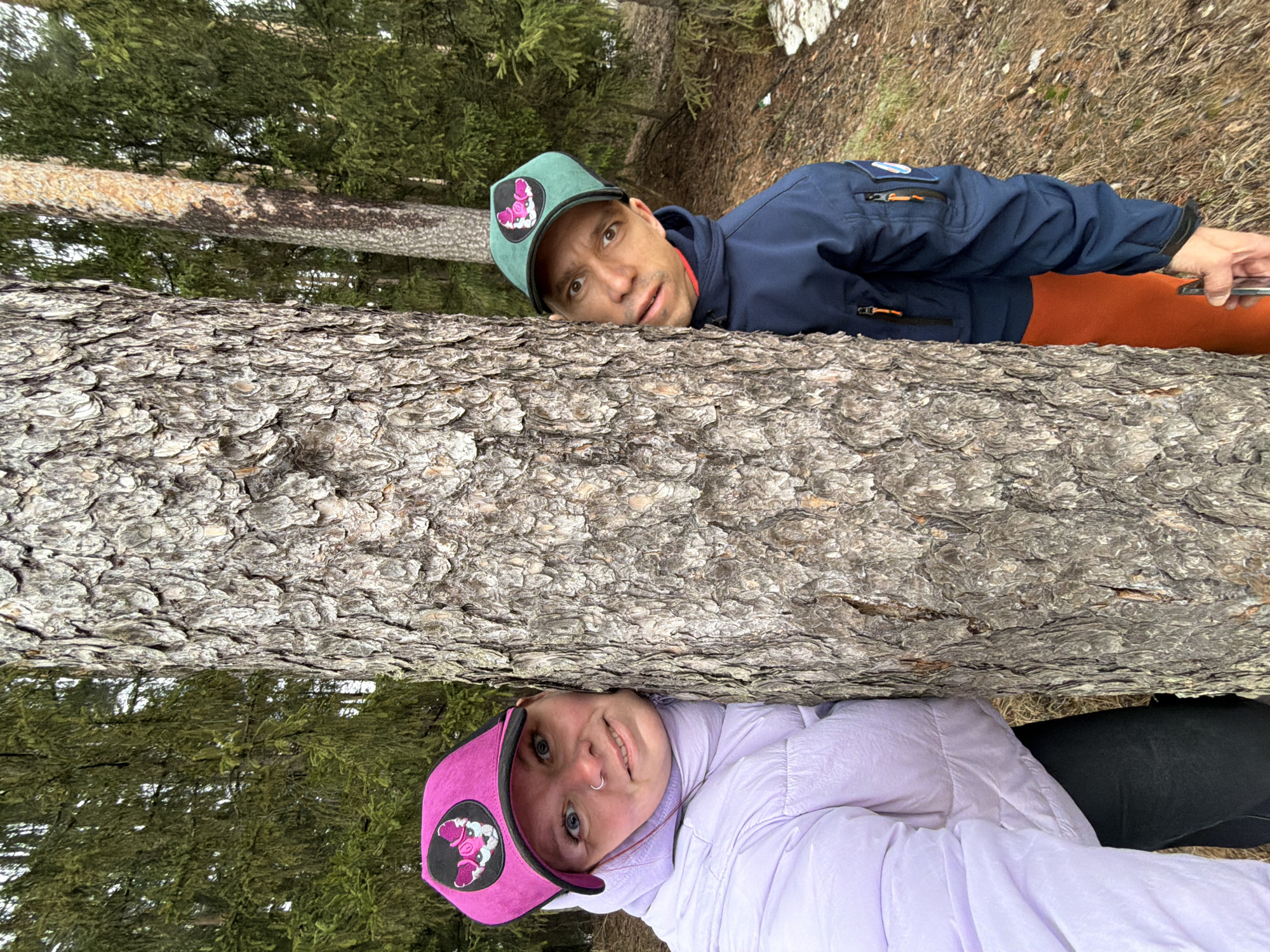 Two people lie under and over a fallen tree trunk, with the image rotated approximately 180 degrees.
The person above the trunk is wearing a dark blue jacket, an orange top, and a green baseball cap with a pink moth design on the front. They have short brown hair and are looking at the camera with a serious expression. Their right hand is holding a phone.
The person below the trunk is wearing a light purple jacket and a pink baseball cap with a pink moth design on the front. They have light skin and are smiling at the camera. They also have a nose ring.
The tree trunk is thick and covered in rough bark. The background consists of trees and vegetation.
The image was taken outdoors, likely in a forest or wooded area.
There is no information in the image to identify the location in the city of Chaikovsky, Russia.