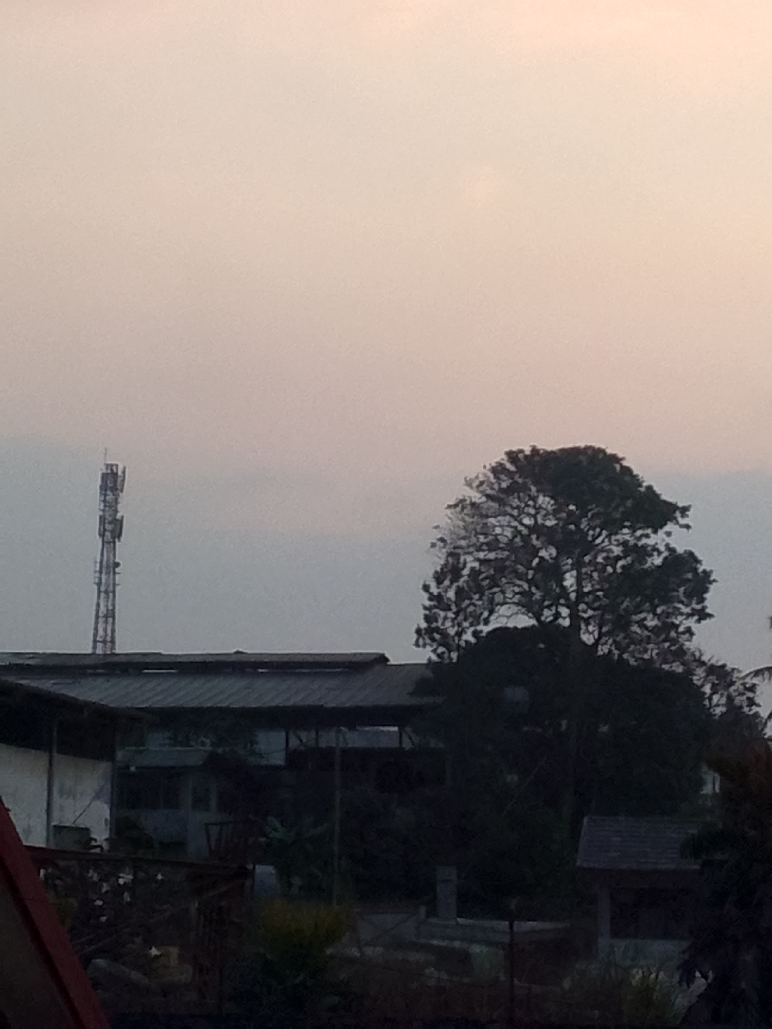 This image depicts a landscape scene with a telecommunications tower in the distance to the left. To the right of the tower, a large, dark-leaved tree dominates the mid-ground. In the foreground, a building with a dark, corrugated metal roof is visible. The sky is a pale, overcast gray, suggesting either early morning or late afternoon light. The image appears to be taken in an outdoor, possibly semi-rural or industrial area. The scene is devoid of any people or discernible actions.