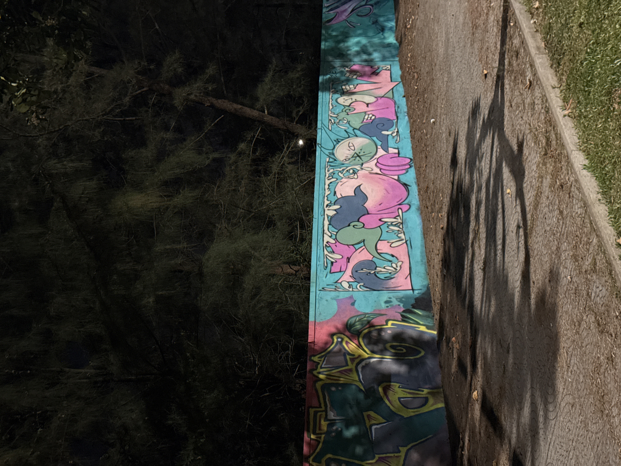 The image captures a graffiti-covered retaining wall in Đà Nẵng, Vietnam, situated between a dark, overgrown area with trees and a pathway bordering a grassy lawn. The graffiti artwork features a mix of abstract figures and lettering in vibrant colors. Shadow patterns from nearby trees cast across the pathway's surface. No people are visible in the image.