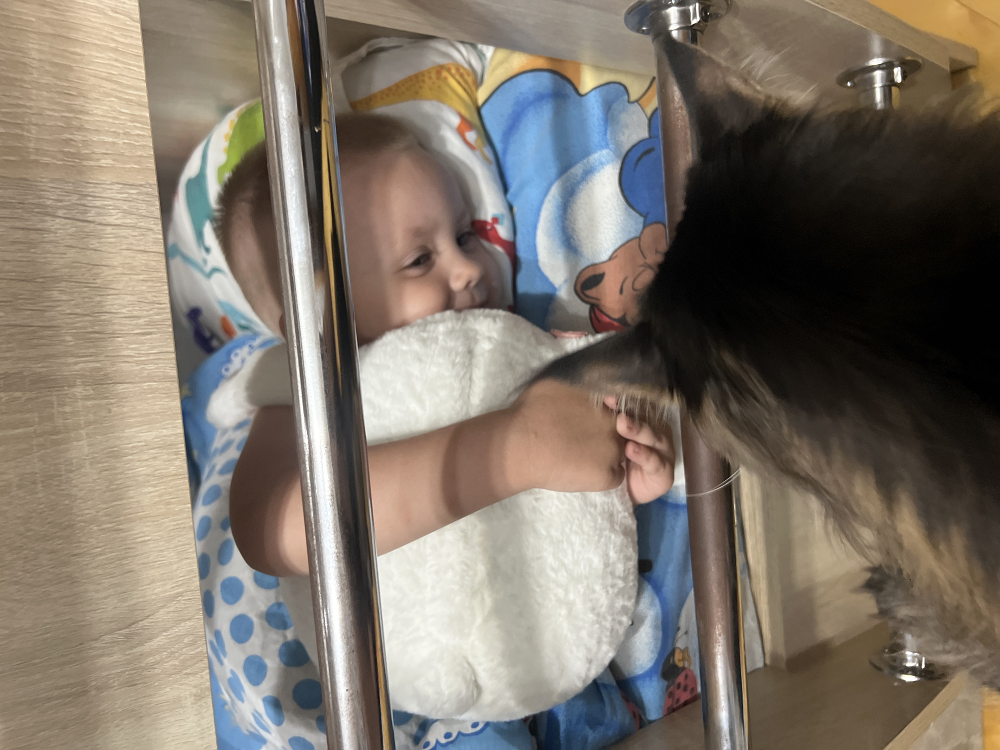 A baby is lying in a crib, sleeping on a colorful blanket with cartoon characters. A black and brown cat is looking into the crib at the baby. The crib appears to be made of wood with metal bars. The scene takes place indoors. There is no information in the image that would indicate the location is in Марковский, Russia.