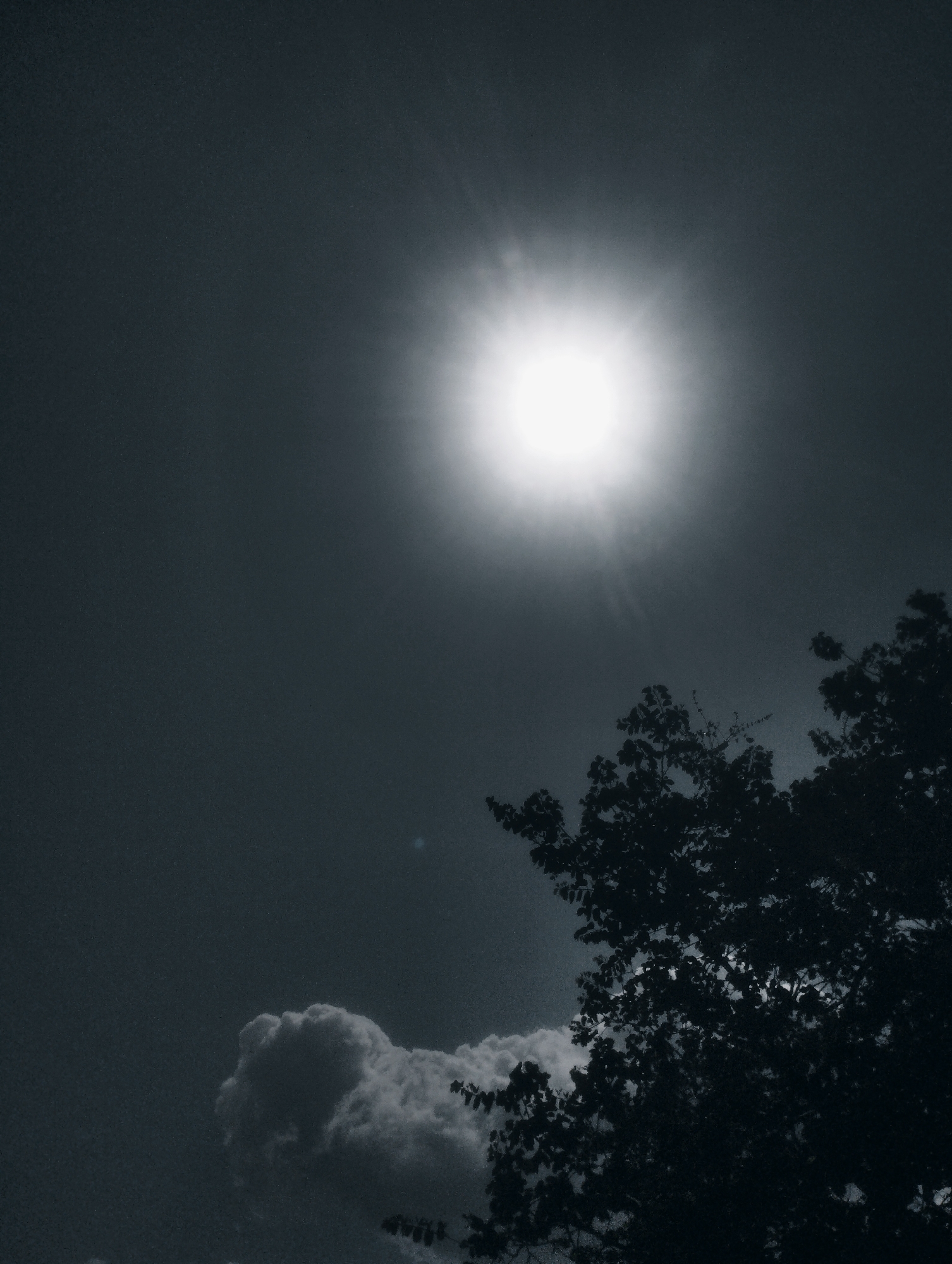 The image is a black and white photograph of a bright sun in a dark sky, with the silhouette of tree branches on the right side and a cloud formation on the lower left. There are no people or discernible city elements visible to indicate a specific location in Jos, Nigeria, or any other city. The environment appears to be outdoors.