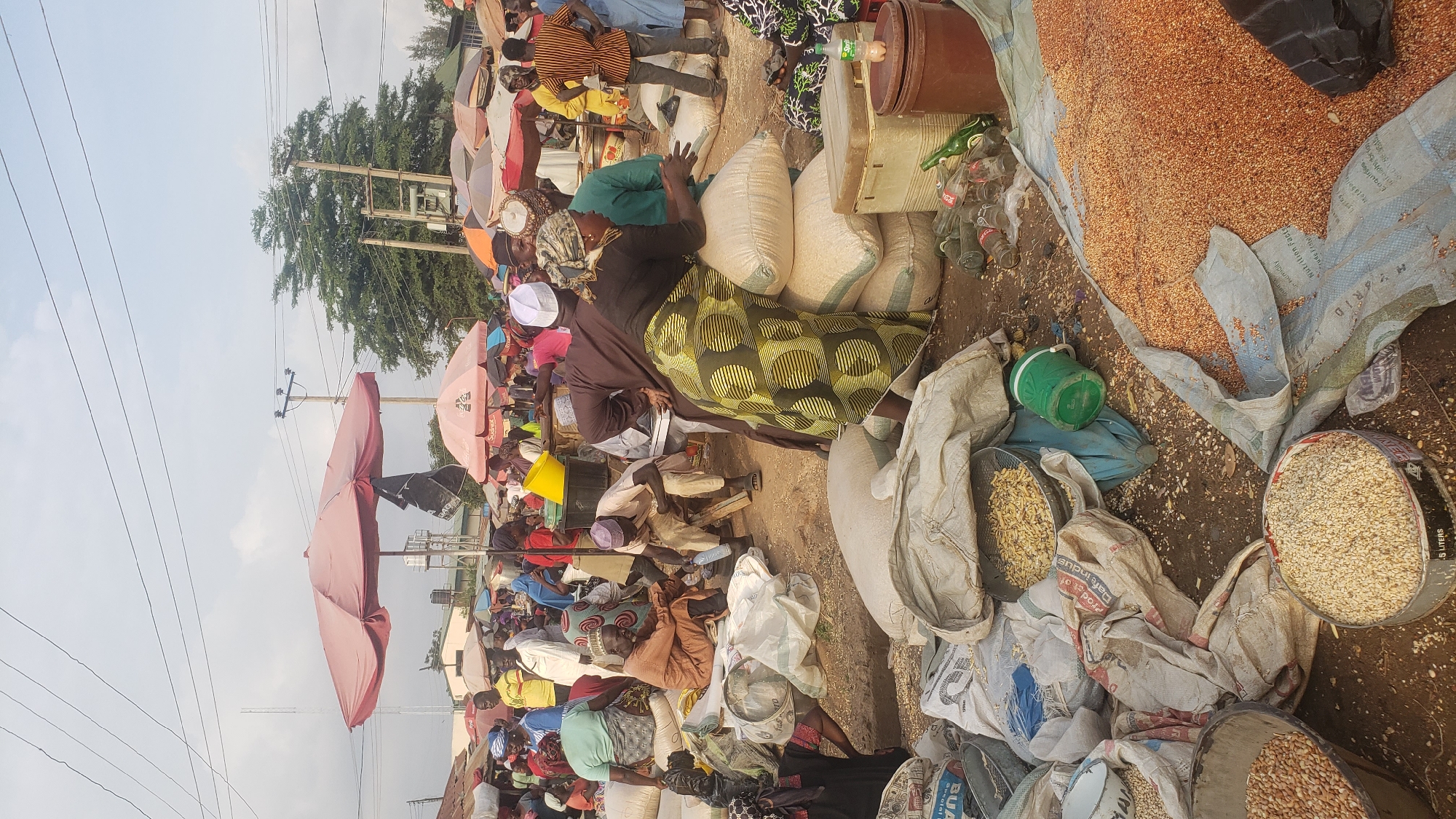 The image depicts an outdoor market scene in Kakuri Gwari, Nigeria, characterized by a bustling atmosphere and an abundance of goods, primarily grains. Several individuals, both men and women, are actively engaged in market activities. Many are dressed in traditional attire, including headwraps and long garments. Some are seen interacting, possibly negotiating prices or discussing transactions. A prominent feature of the market is the presence of numerous large sacks filled with various types of grains, some of which are open and appear to be for sale. Piles of grains are visible on the ground and within containers. Several umbrellas and canopies are erected to provide shade, indicating a sunny environment. The ground is dirt and appears somewhat uneven. The overall scene suggests a typical day at a local Nigerian grain market, with active trade and community engagement.