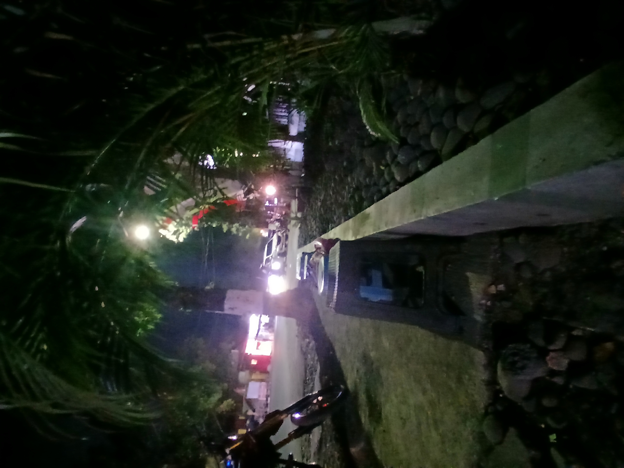 In the city of Kademangan Kulon, Indonesia, a dimly lit scene unfolds at night. A motorcycle is parked on the side of the road, its front wheel and handlebars visible. To the right, a concrete planter box filled with dark, rounded stones runs alongside the road. Behind the planter, lush green foliage and palm fronds overhang, with a bright streetlamp casting a glow. Across the road, the lights of a building are visible, and a white car is parked with its headlights on. The ground is covered with grass and scattered rocks.