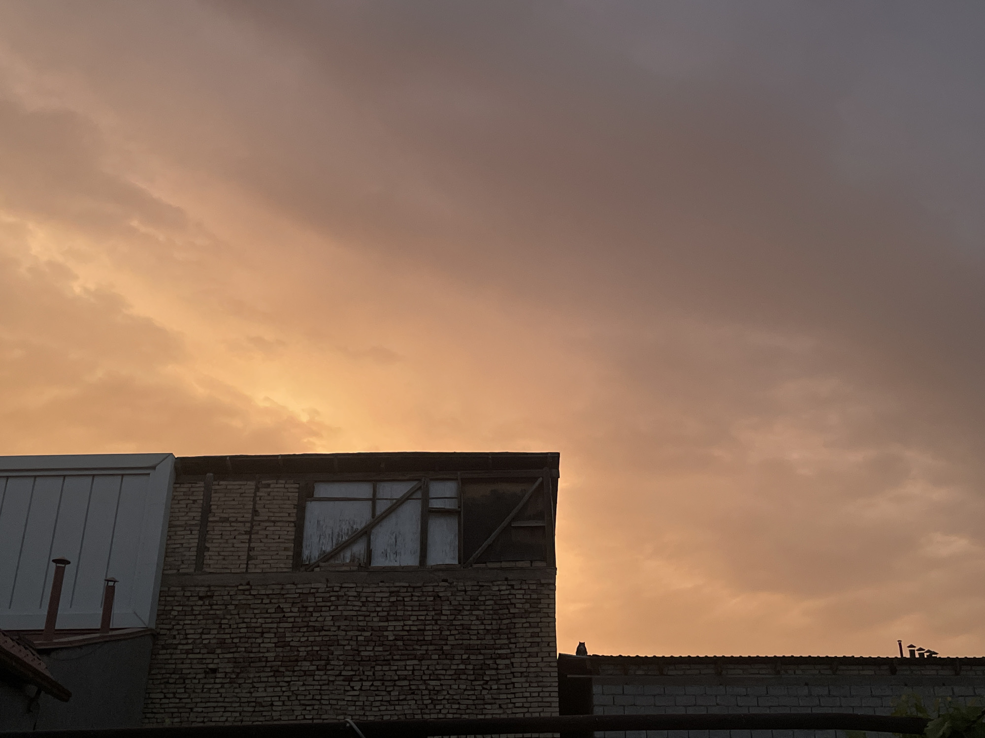 The image depicts an urban scene at dusk in Tashkent, Uzbekistan. In the foreground, the rooftops of several buildings are visible. The most prominent structure is a two-story building constructed from light-colored brick. The upper story has a dilapidated appearance with a large window framed by wooden beams. To the left of this brick building is another structure with a white, ribbed roof and two red chimneys. In the middle ground, a dark silhouette of a cat is perched on the edge of a rooftop. The background is dominated by a sky filled with dramatic clouds illuminated by the setting sun, casting a warm orange and pink glow across the scene. The overall atmosphere is one of twilight tranquility in an urban setting.