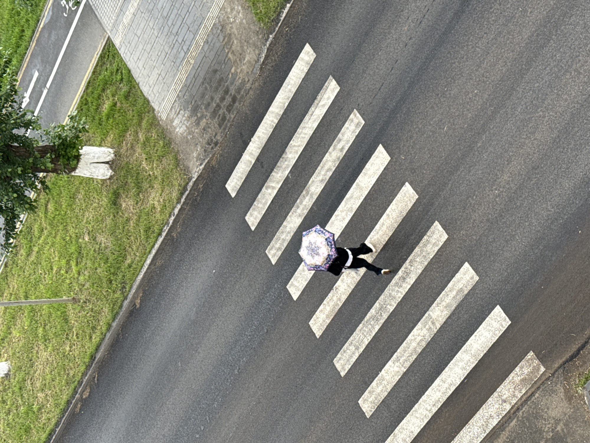 An overhead photograph captures an urban scene in Votkinsk, Russia, centered on a pedestrian crossing. A single person is walking across the white stripes of the zebra crossing, viewed directly from above. They are holding an open, intricately patterned umbrella featuring shades of blue, purple, and white, suggesting use for protection from either sun or rain. The individual is dressed in dark attire, comprising a top and trousers, and wears light-colored shoes.
The scene includes an asphalt road, with the pedestrian crossing's white stripes prominently featured. To the left of the main road, a strip of green grass runs parallel. Beyond the grass, a paved sidewalk made of light gray interlocking bricks is visible, complete with yellow tactile paving strips. Adjacent to the sidewalk on the far left is a dedicated bicycle path, marked with white lines, a downward-pointing arrow, and the upper portion of a white bicycle symbol. A small tree with green foliage partially enters the frame from the extreme left. The road and sidewalk surfaces exhibit some dampness, and the overall diffused lighting suggests an overcast sky or recent rainfall during daytime.