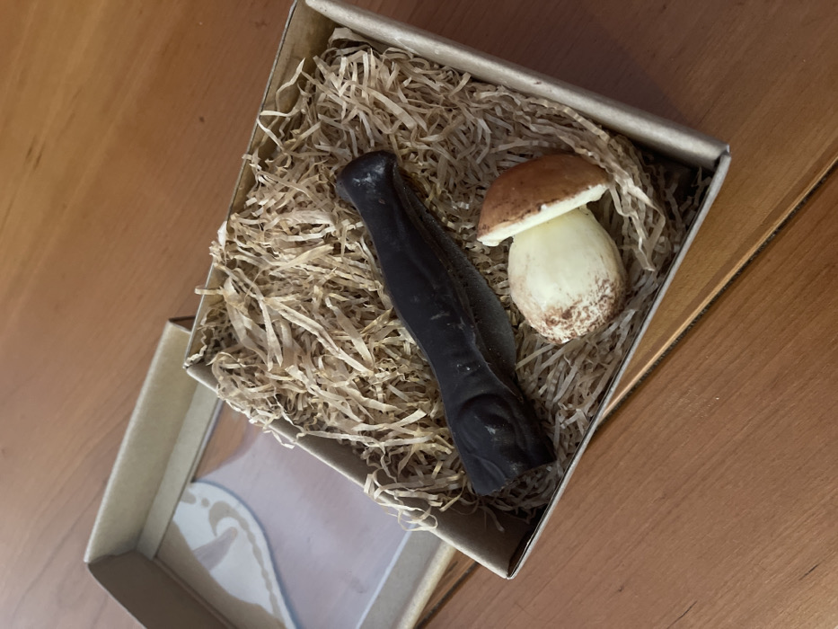 An open cardboard box rests on a warm-toned wooden surface, captured from a slightly elevated, angled perspective. The box is filled with light brown, shredded paper or wood wool serving as packing material. Nestled within this material are two distinct objects. On the left, a dark, elongated item, possibly made of chocolate or a decorative material, resembles a fish or an eel, featuring subtle textural details. To its right, a realistically shaped mushroom, with a light-colored stem and a brown cap, strongly resembles a porcini (Boletus edulis). The mushroom also appears to be a crafted item, potentially edible or decorative. The lid of the cardboard box is partially visible in the lower-left corner of the frame. No people are present, and no text is visible on any of the objects or the box. The lighting suggests an indoor setting, with no indications of weather or specific time of day. The scene presents the items in a curated, perhaps gift-like, arrangement. The location context for this image is Castione, Italy.