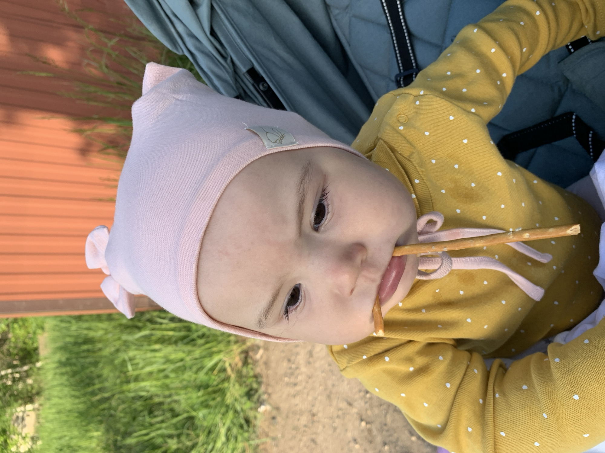 A close-up, eye-level shot focuses on a baby in a stroller. The baby, wearing a pink bonnet and a yellow polka-dot long-sleeved shirt, is chewing on two thin, light brown pretzel sticks. The baby's face is tilted slightly to the right. In the background, out of focus, is tall green grass and a reddish-brown wooden structure, possibly a building or fence. A part of the stroller's teal fabric is visible on the right side of the image. The lighting suggests it is daytime.