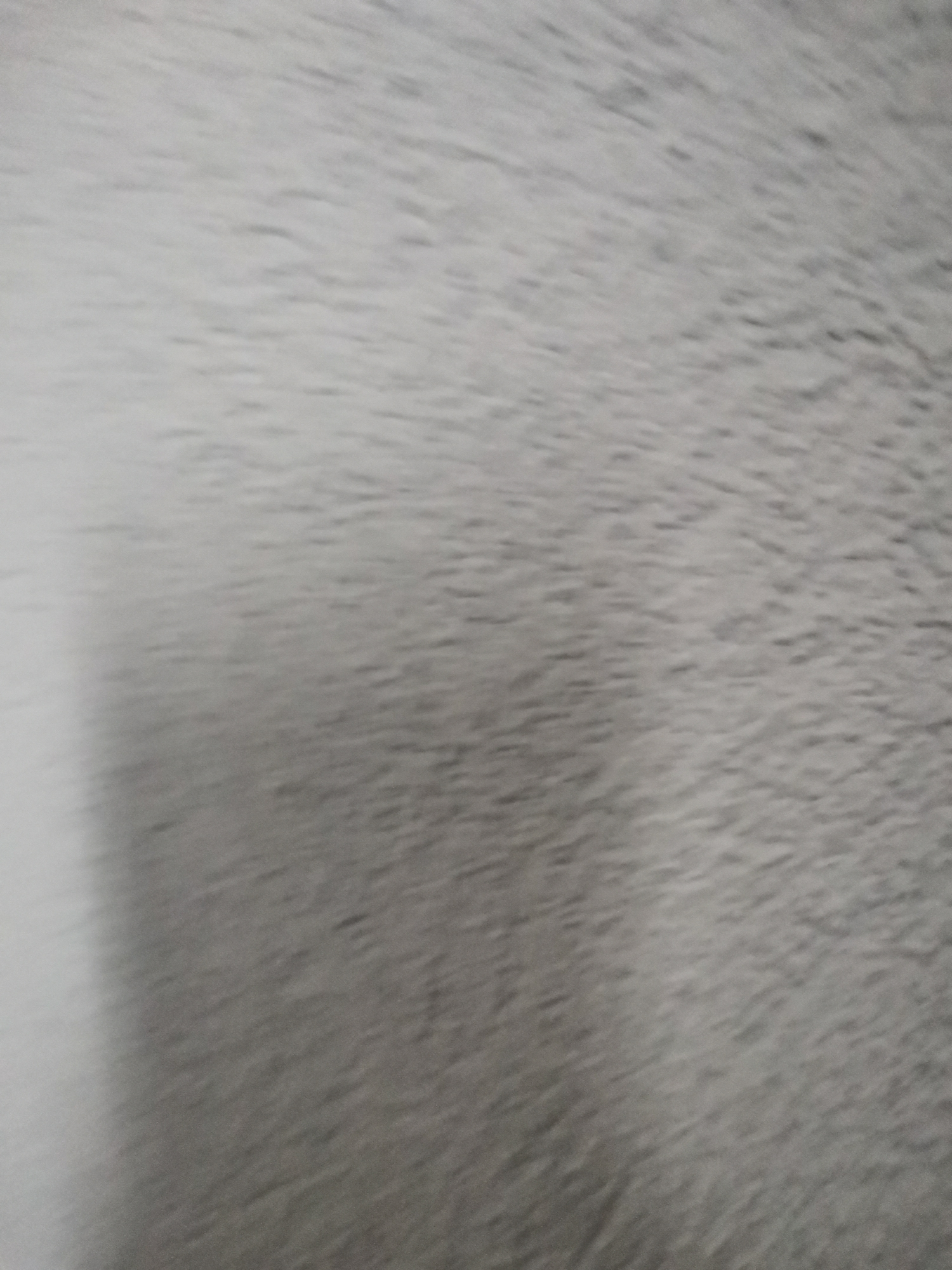 The image shows a blurred, gray surface with a texture resembling fur or dense, soft fabric. There are no identifiable people, subjects, objects, actions, or interactions in the image. The location in Pokrovnik, Bulgaria, cannot be determined based on the given image. The environment is undefined beyond the textured surface.