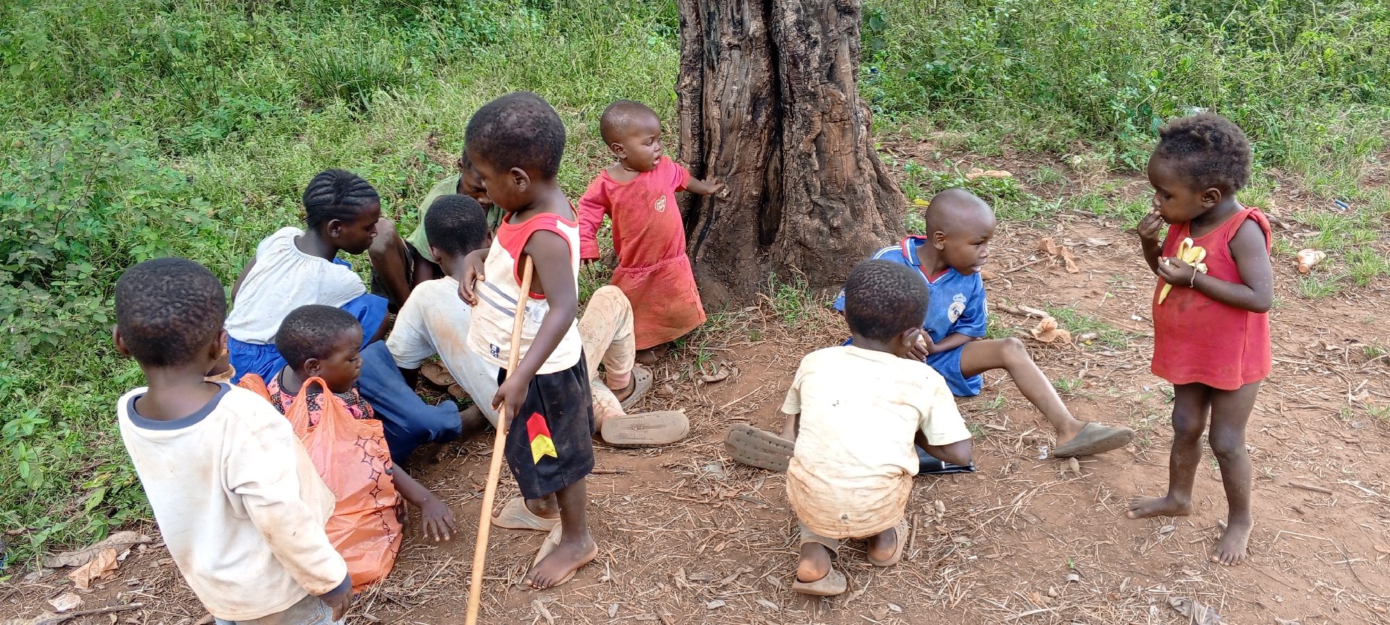 A group of approximately ten children are gathered outdoors on reddish-brown dirt ground, against a backdrop of lush green vegetation and a large, dark tree trunk. The scene appears to be set in a rural or semi-rural area, consistent with Ngalula, Democratic Republic of the Congo.
The children, varying in age from toddlers to pre-teens, are mostly dark-skinned and dressed in simple, often worn clothing, including t-shirts, shorts, and dresses. Many are barefoot, while some wear basic sandals.
Several children are sitting on the ground. To the far right, a young child in a red dress stands, attentively peeling and eating a banana. Nearby, a boy in a blue t-shirt with a white design sits, looking to his right. In the center, a boy in a white and red sleeveless top stands, holding a slender wooden stick, while another child sits beside an orange plastic bag. Other children are visible sitting or crouching near the tree and among the foliage on the left side of the frame.
The overall atmosphere suggests a casual daytime gathering, possibly a playtime or snack time. The ground is dry earth with some scattered debris, and the background is dominated by natural growth. No visible text is present in the image.