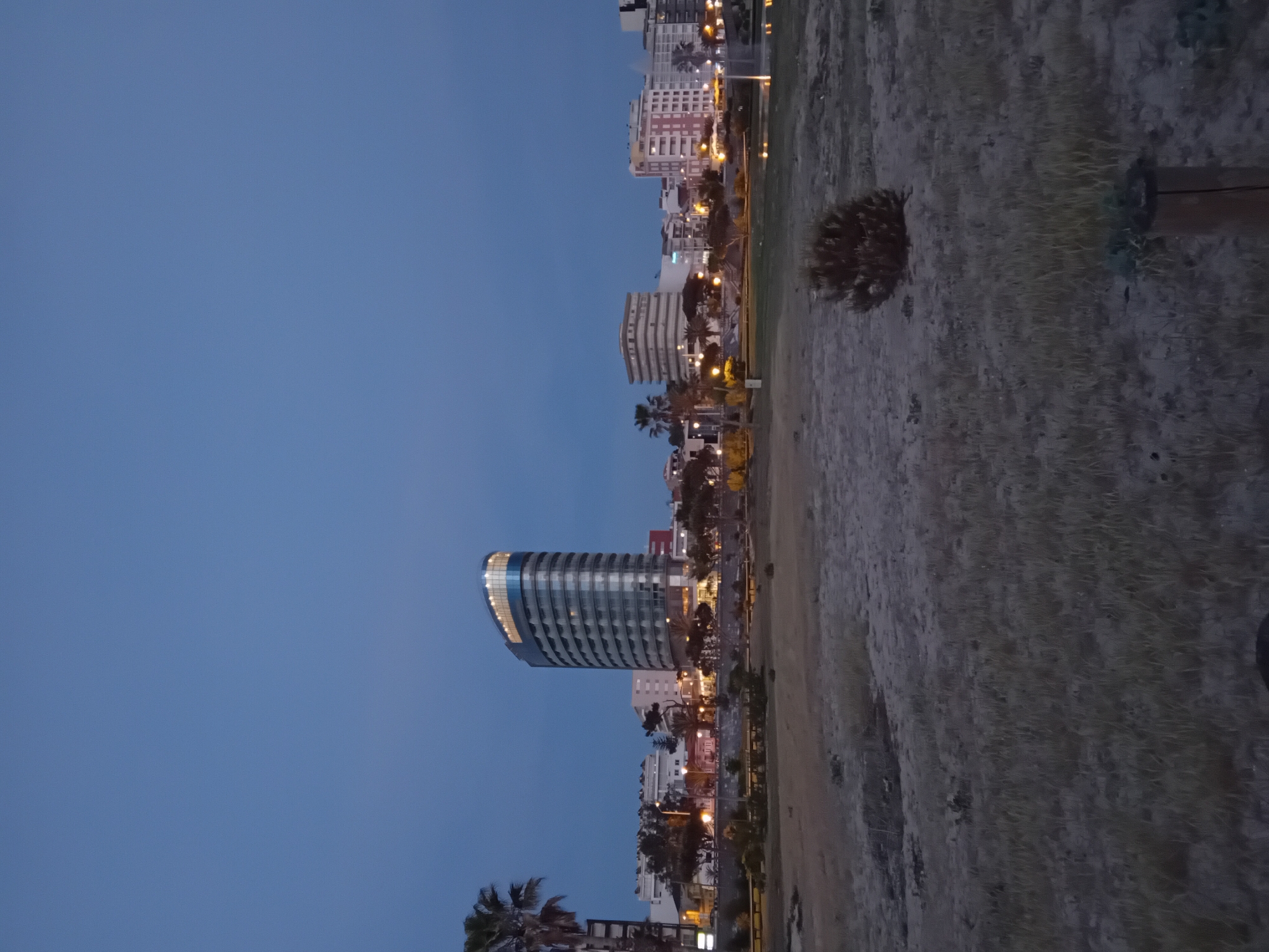 The image depicts an urban landscape at dusk or early night, rotated 90 degrees clockwise. When viewed correctly, the scene features a city skyline against a deep blue, clear sky. In the midground, a row of buildings stretches horizontally, illuminated by interior lights and numerous streetlights that cast a warm, orange glow. Palm trees are visible along this urban strip. A prominent, modern building with a distinctive curved or cylindrical glass facade stands out towards the left side of the cityscape, its upper floors reflecting light.
The foreground, occupying the lower and right portions of the image, consists of a sparsely vegetated area, appearing to be sandy ground or dry grassland. A small, bushy plant, possibly a young palm tree or desert shrub, is visible in this area, along with a dark wooden post towards the right edge. The ground is uneven and largely barren.
No people are visible, and no specific activity is taking place; the scene is static. The time of day is clearly twilight or night, indicated by the dark sky and the reliance on artificial illumination. The weather appears clear. While the presence of palm trees and the architectural style suggest a coastal or warm-climate city, there are no specific location cues or visible text to identify the precise location. The overall mood is quiet and still, characteristic of an urban evening.