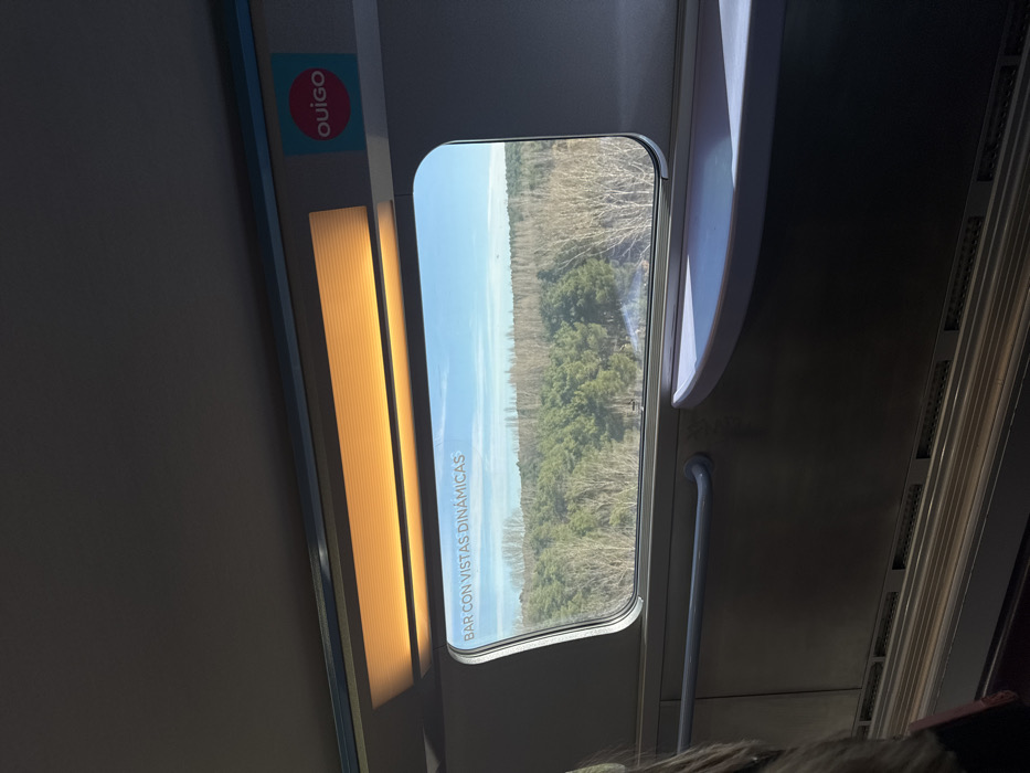 The image displays an interior perspective from a Ouigo high-speed train car, looking out a large, rounded rectangular window at a natural landscape. The exterior view features a dense evergreen forest, predominantly coniferous trees, in the mid-ground. Beyond this, a band of deciduous trees with bare branches extends horizontally, revealing patches of white ground cover, consistent with snow or frost, underneath. The sky above is clear and light blue.
Inside the train, the window has the text "BAR CON VISTAS DINÁMICAS" (Bar with Dynamic Views) printed on its lower left pane. Above the window, a horizontal light fixture with a ribbed diffuser emits a warm orange-yellow glow. To the upper right of the window, a teal square logo with the word "ouigo" in a pink circle is affixed to the wall. A light grey, curved table or shelf extends into the lower right corner of the frame, positioned at window height. To the left, a horizontal light grey metal handrail is mounted on the darker grey wall panel below the window. The base of the interior wall shows a ribbed metallic panel. A portion of a person's upper arm and shoulder is visible in the lower left corner of the frame.
Given the "Ouigo" branding, a high-speed rail operator in Spain, and the visual characteristics of the forested terrain, the scene is consistent with a journey through the Guadalajara province in Spain, likely on a high-speed rail corridor such as the Madrid-Zaragoza-Barcelona line.