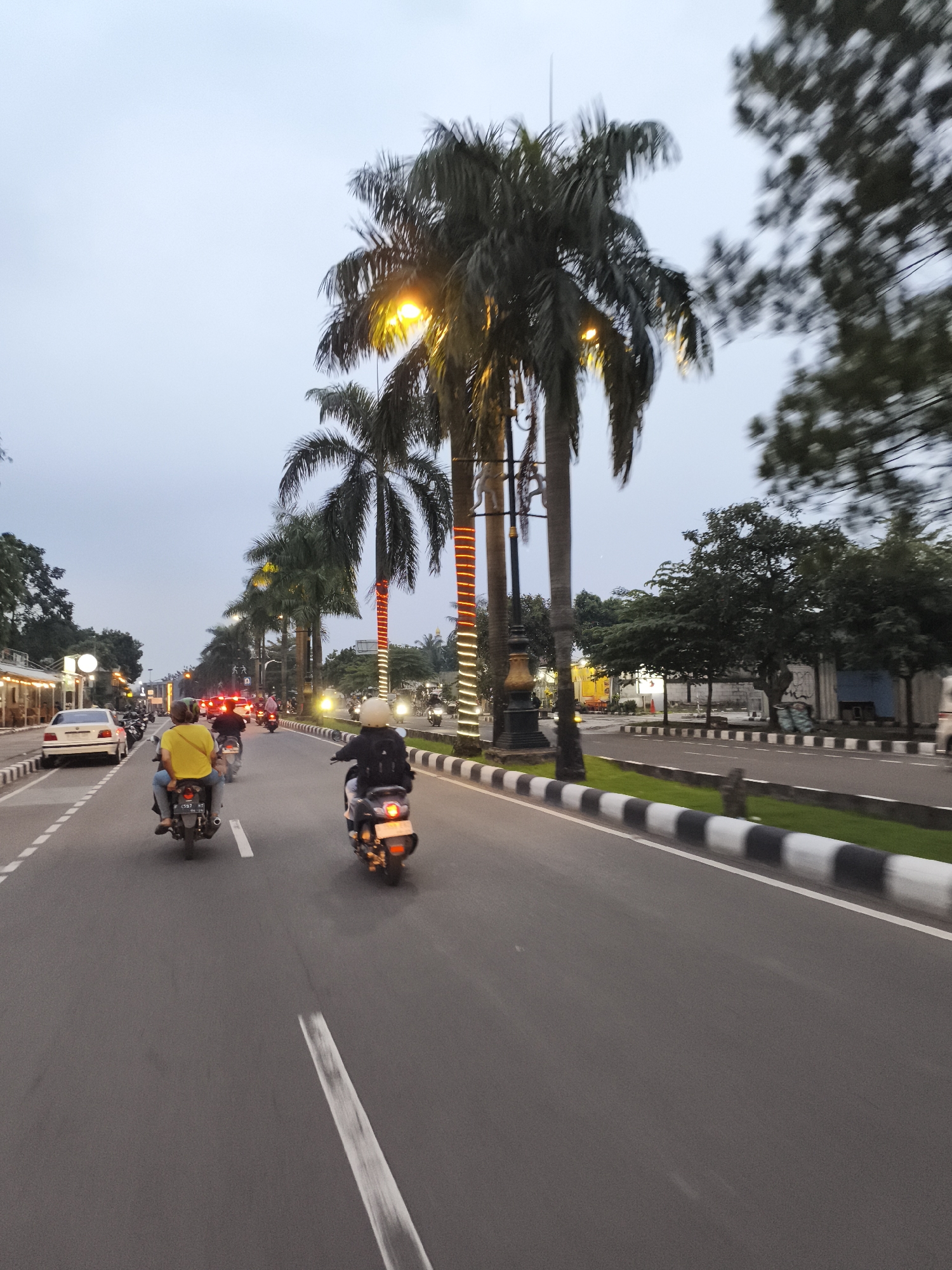 The image captures a lively street scene in Cibinong, Indonesia, during the twilight hours. The sky is bright but overcast, with streetlights already illuminated, suggesting either late afternoon or early evening. The perspective is low, likely taken from a moving vehicle, as evidenced by the motion blur on the trees and road markings.
The main subjects are several people riding motorbikes on a multi-lane asphalt road. In the foreground, two motorbikes are prominent; the one on the left has a rider in a bright yellow shirt and a passenger, with its license plate "F 5593 AD" clearly visible. The motorbike on the right carries a rider wearing a dark jacket and a light-colored helmet. Numerous other motorbikes and cars are visible in the distance, indicating active traffic.
The road features a central median strip planted with grass and lined with tall palm trees. Many of these palm trees are adorned with decorative red and white string lights. Integrated streetlights cast a warm orange glow. On the left side of the road, several commercial buildings with awnings are visible, along with a white sedan parked. On the right, beyond the median, there are more trees and some distant structures. The road infrastructure includes white lane markings and black and white striped curbs along the median. The scene depicts a typical urban commute or travel activity in a tropical setting.