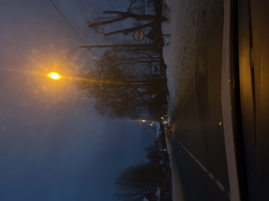 The image depicts a winter evening or early morning scene in Maksimkovo, Russia, viewed from inside a vehicle. The sky is dark blue-grey, with several street lights casting a yellow glow, most prominently a tall lamp on the right foreground creating a bright starburst effect. The asphalt road, appearing somewhat reflective, is marked with a solid white line on the right and a dashed white line indicating the center. Snow banks line both sides of the road, with a substantial accumulation on the right.
Ahead on the road, a vehicle with illuminated red taillights is visible, moving away from the viewer. Bare deciduous trees are prominent on both sides of the road, with denser groupings on the right. Scattered houses with snow-covered roofs are visible in the distance along the roadside. On the right, beneath the prominent street lamp and trees, a circular road sign with a red border and a horizontal white bar (likely a "No Entry" or similar prohibitory sign) is partially visible. Further along the right, a silhouette of a deer or elk-like figure is visible against a snow-covered surface. Power lines run horizontally across the upper right, attached to utility poles. The vehicle's dashboard and the base of the windshield are visible at the bottom of the frame.
