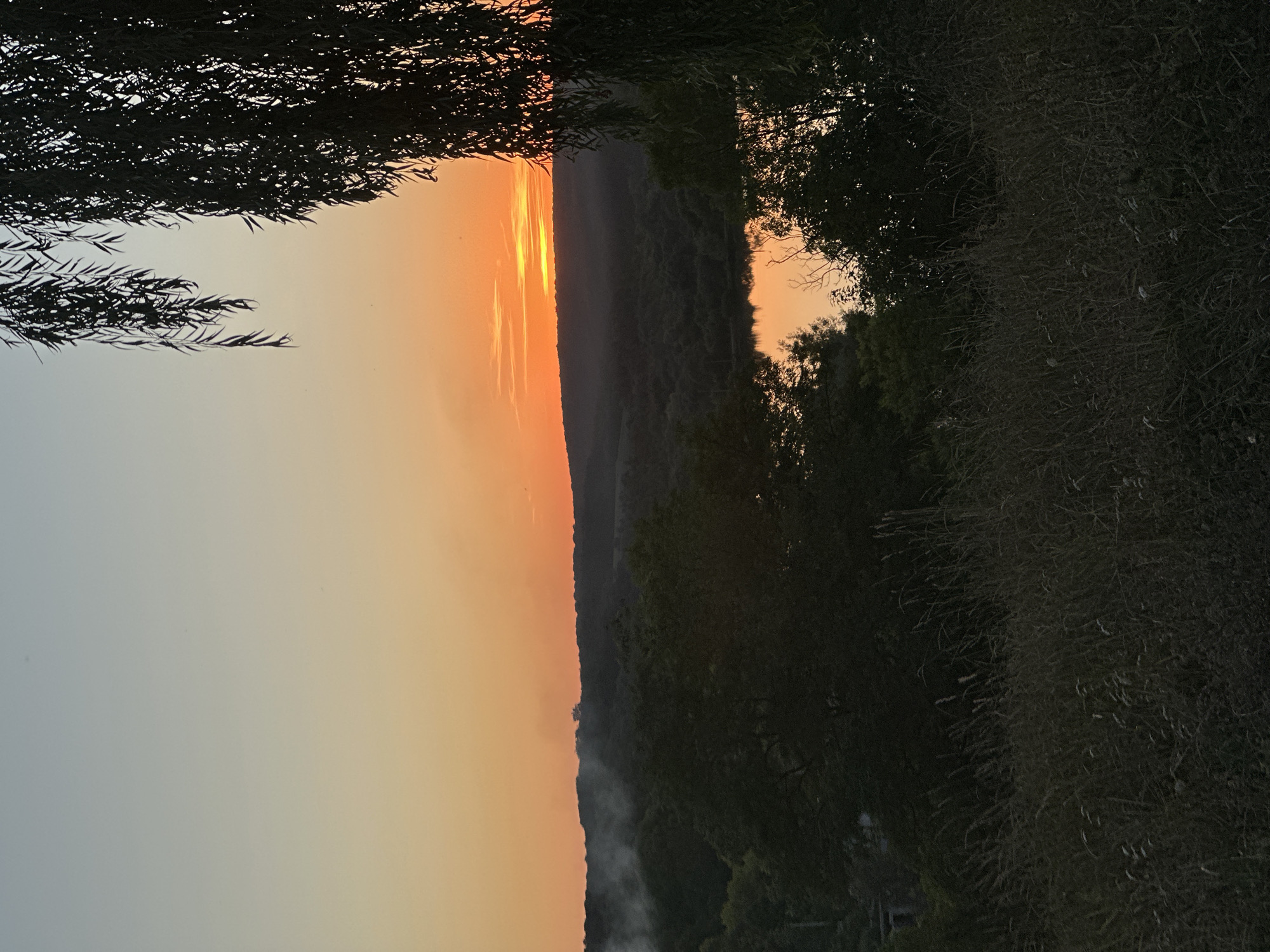 The image depicts a scenic sunset over a rural landscape, likely in or near Makiv, Ukraine. The sky is a gradient of soft blues and warm oranges, transitioning to a vibrant band of orange and yellow where the sun is setting behind a line of hills. Wisps of smoke or mist are visible in the distance, rising from the treeline. A body of water, possibly a lake or river, reflects the colors of the sunset. In the foreground and middle ground, dense foliage and trees create a silhouette effect against the lighter sky. The branches of a weeping willow tree hang down from the right side of the frame, partially obscuring the view. The overall atmosphere is serene and natural, with no signs of human activity or structures immediately apparent in the main landscape.