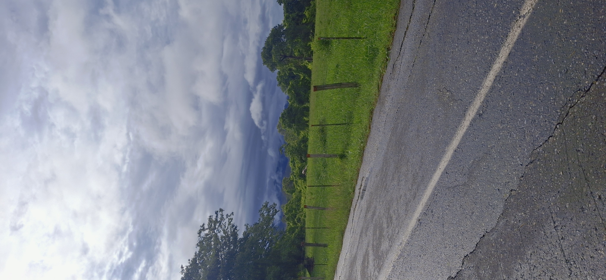 The image depicts a rural or semi-rural landscape in Vallecito, Venezuela, under an overcast sky. The foreground features an asphalt road, appearing wet and showing multiple cracks, including a prominent diagonal fissure from the bottom left. A faded white line runs diagonally across the road from the lower right to the mid-left. A simple wire fence with several wooden posts (light brown to reddish-brown) separates the road from a lush, vibrant green grassy field in the midground. Behind the field, a dense line of trees and foliage forms a natural boundary, with a large, leafy tree prominent on the left. In the upper-left area of the grassy field, near the tree line, a light-colored, irregular object is discernible. The background reveals dark, hazy forms of distant hills or mountains, partially obscured by mist or atmospheric conditions. The sky, occupying the upper portion, is heavily clouded, transitioning from brighter, lighter grey clouds overhead to darker, deep grey and blue clouds towards the horizon, suggesting an impending storm or heavy overcast conditions. The overall lighting is diffuse. No people, animals, or vehicles are present in the scene.