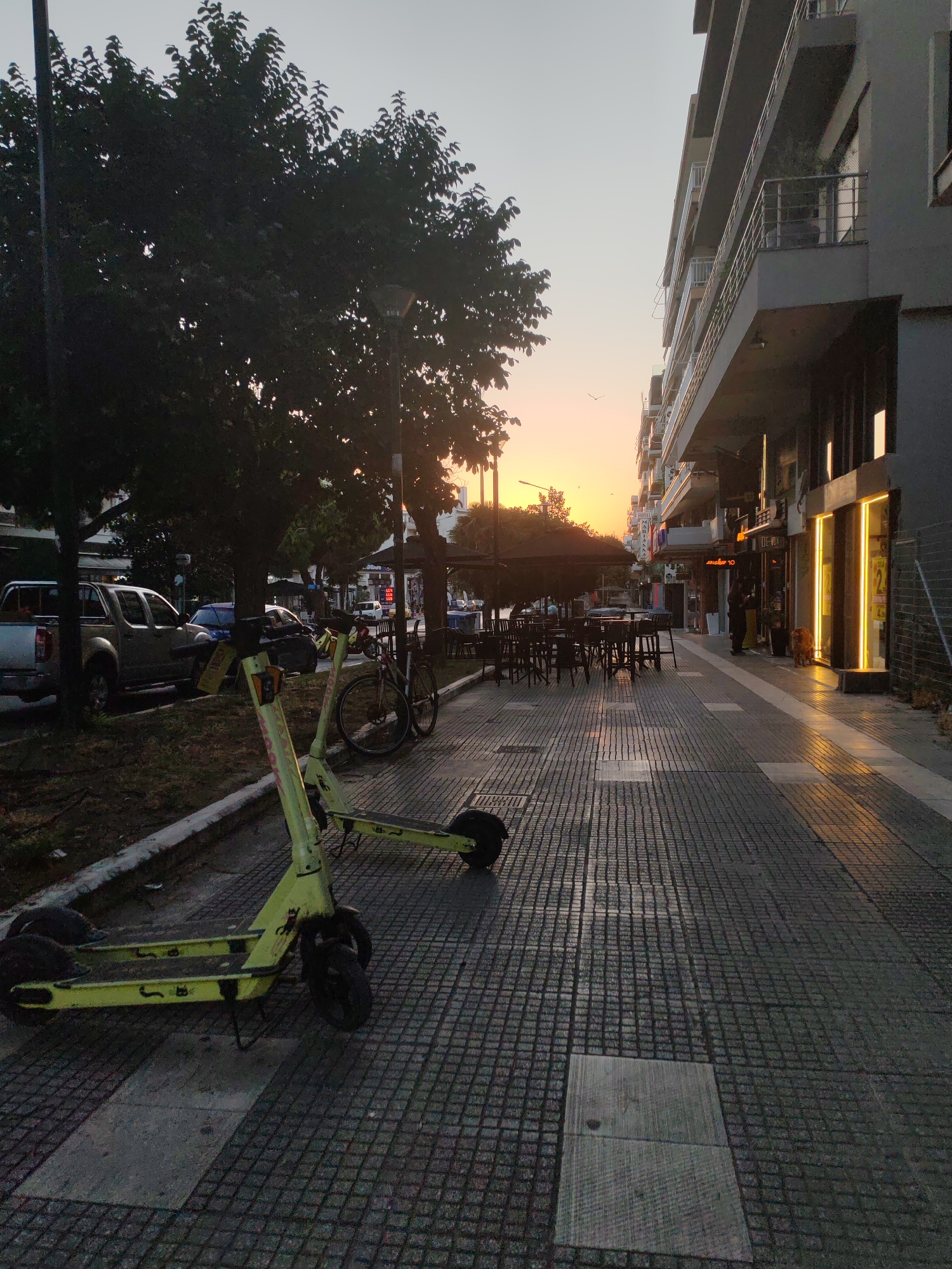 The image depicts a street scene in Alexandroupolis, Greece, during twilight. The foreground features two bright yellow electric scooters parked on a patterned tiled sidewalk. Beyond the scooters, a row of trees lines the street, casting shadows onto the sidewalk. In the background, a modern building with balconies stands to the right, while a street with parked cars and outdoor seating for a cafe or restaurant is visible to the left. The sky is a soft gradient of blue and orange, indicating the setting sun. A lamppost is visible behind the trees. The overall atmosphere is calm and quiet, suggesting the early evening or late afternoon.