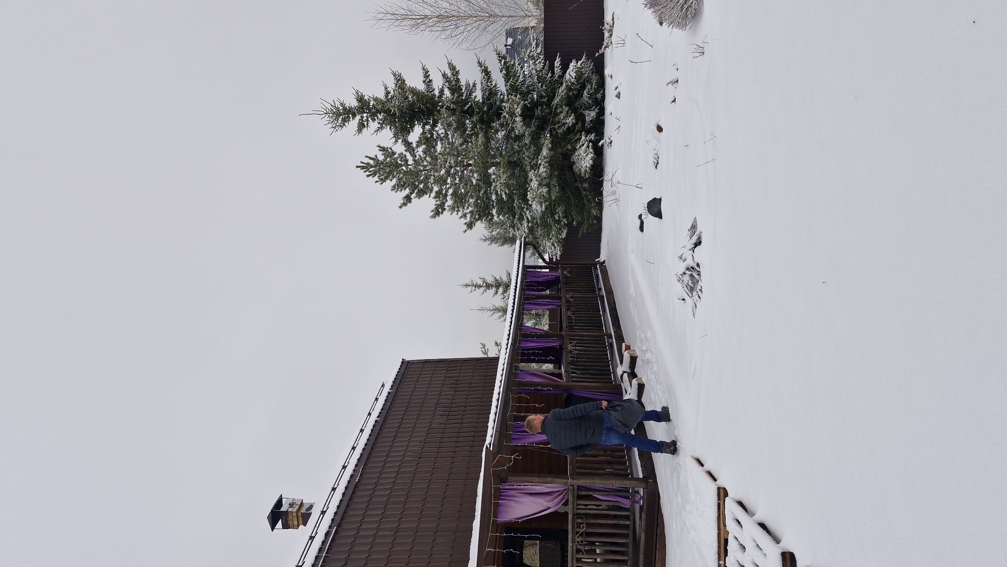 The image depicts a tranquil winter scene in what appears to be a rural or suburban setting, likely in Otchor, Russia. The sky is overcast and uniformly grey, suggesting a dull, cold day without direct sunlight.
The main subject is a man seen from behind, walking through deep, fresh snow. He is dressed in a dark jacket, blue jeans, and dark boots, and has short hair. He is positioned to the right of a house or cabin, near an attached wooden deck.
The house features a prominent dark brown tiled roof with a visible chimney on its left side. The wooden deck or veranda extends along the side of the house and is decorated with striking purple fabric drapes or curtains, which provide a distinct splash of color against the white snow and brown wood.
Beyond the house and deck, the landscape is blanketed in snow. A large evergreen tree, possibly a spruce or fir, stands tall and is heavily laden with snow on its branches. In the background, a dark wooden fence marks a boundary, and some bare deciduous trees or bushes are visible. The ground is uniformly covered in a thick layer of pristine snow, with only a few small dark rocks or patches of dormant vegetation breaking the white expanse.
The activity shows the man walking outdoors in winter conditions. The overall impression is one of peacefulness and cold, typical of a snowy day. There is no visible text in the image.