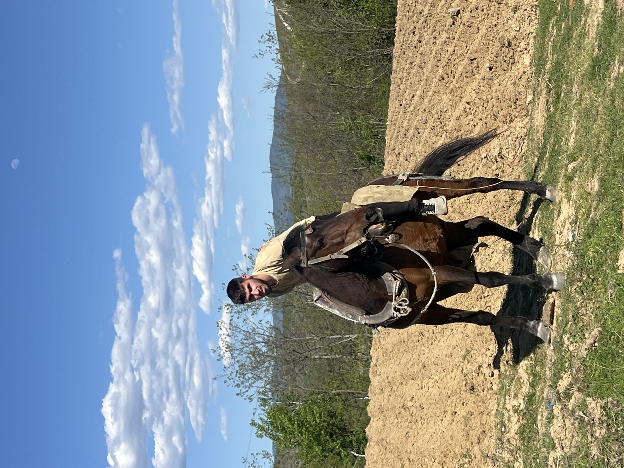 A man is riding a brown horse in a field near Kornitsa, Bulgaria. The sky is blue with white clouds. The horse is facing to the right. The field is brown and grassy. There are trees in the background.