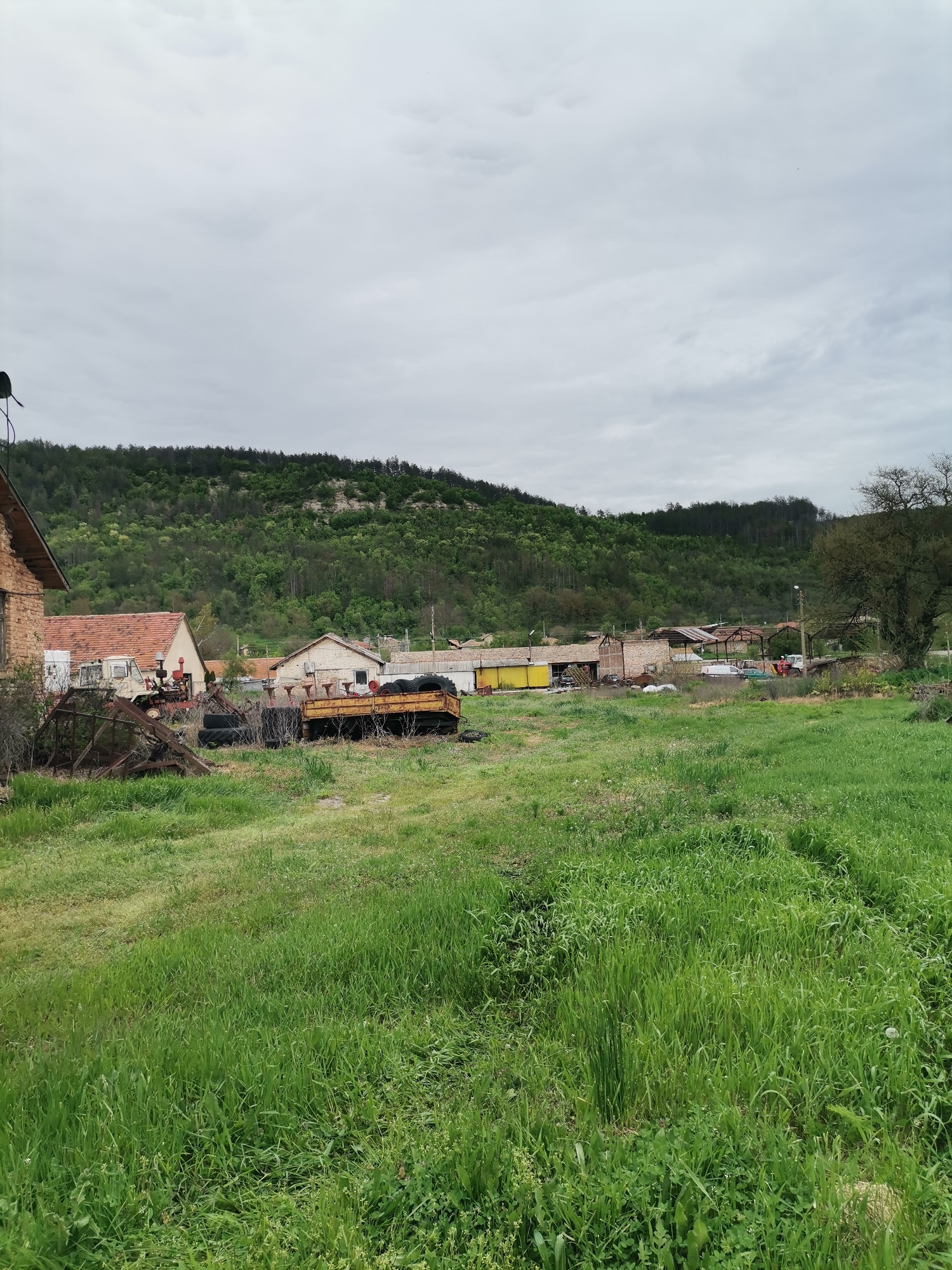 The image presents a rural landscape in Kochovo, Bulgaria, under an overcast sky. The foreground is dominated by a wide expanse of lush, tall green grass, suggesting an uncultivated field or yard.
In the mid-ground, a cluster of buildings and agricultural elements are visible. To the left, a brick building with a reddish-tiled roof stands partially obscured. Nearby, various rusty metal structures, a partially visible old truck or tractor, and several black tires are scattered across the grassy area. Further to the right, a line of more modest buildings appears, including a distinct yellow-sided structure and several others with reddish or brownish roofs. Among these buildings, more farm equipment is discernible, including what appears to be a white van and a red tractor. A large, gnarled tree with sparse branches frames the right side of the mid-ground.
The background is defined by a large, undulating hill densely covered with green trees, forming a thick forest that stretches across the horizon. The sky above is entirely overcast with soft grey and white clouds, indicating a cloudy daytime, likely late morning or afternoon, with diffused lighting.
The scene appears devoid of human activity, conveying a quiet, still atmosphere typical of a rustic rural setting. No visible text is present in the image.