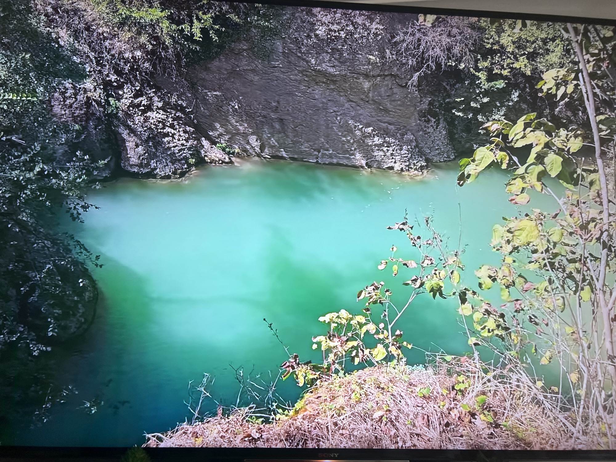 The image shows a body of water, possibly a pond or small lake, surrounded by rocky cliffs and vegetation. The water is a light green color. There are trees and bushes on the edges of the cliffs surrounding the water. Some bare branches are visible in the foreground. The specific location in Basingstoke and Deane, United Kingdom, is not provided.