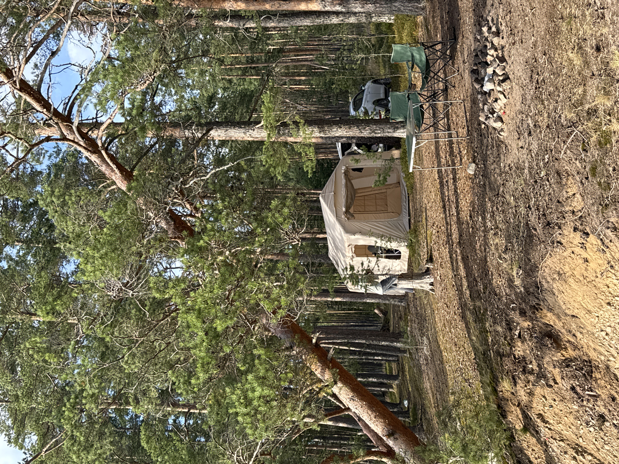 A campsite is set up in a pine forest near the city of Priladozhskoe, Russia. A beige canvas tent is pitched in the middle ground, with its entrance flap open. In front of the tent, a small metal table is set up with two green folding chairs. To the right of the chairs, a circle of stones indicates a fire pit. A white SUV is parked behind the tent, partially obscured by trees. The ground is covered with pine needles and dirt. In the foreground, a steep, sandy embankment slopes down. The scene is bathed in natural sunlight, casting shadows through the trees.