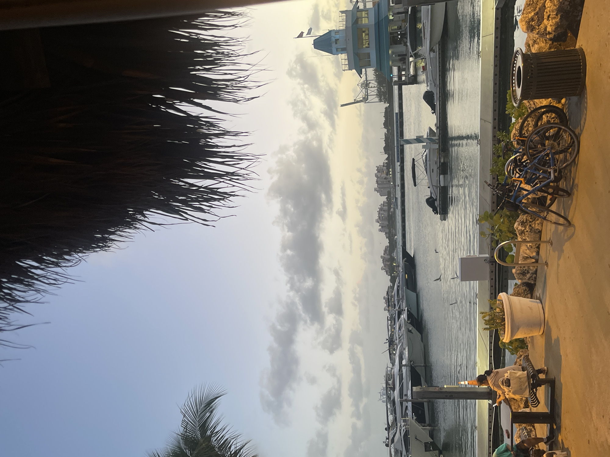 The scene depicts a marina with numerous yachts docked along a concrete pier. The sky is overcast, casting a soft light on the water. A person is sitting on a bench near a large white planter. Bicycles and a trash receptacle are nearby. The foreground includes a thatch roof providing shade, and the corner of a palm tree. A multi-story building is visible in the background. The image location is likely Miami Beach, based on the marina setting and architectural style.