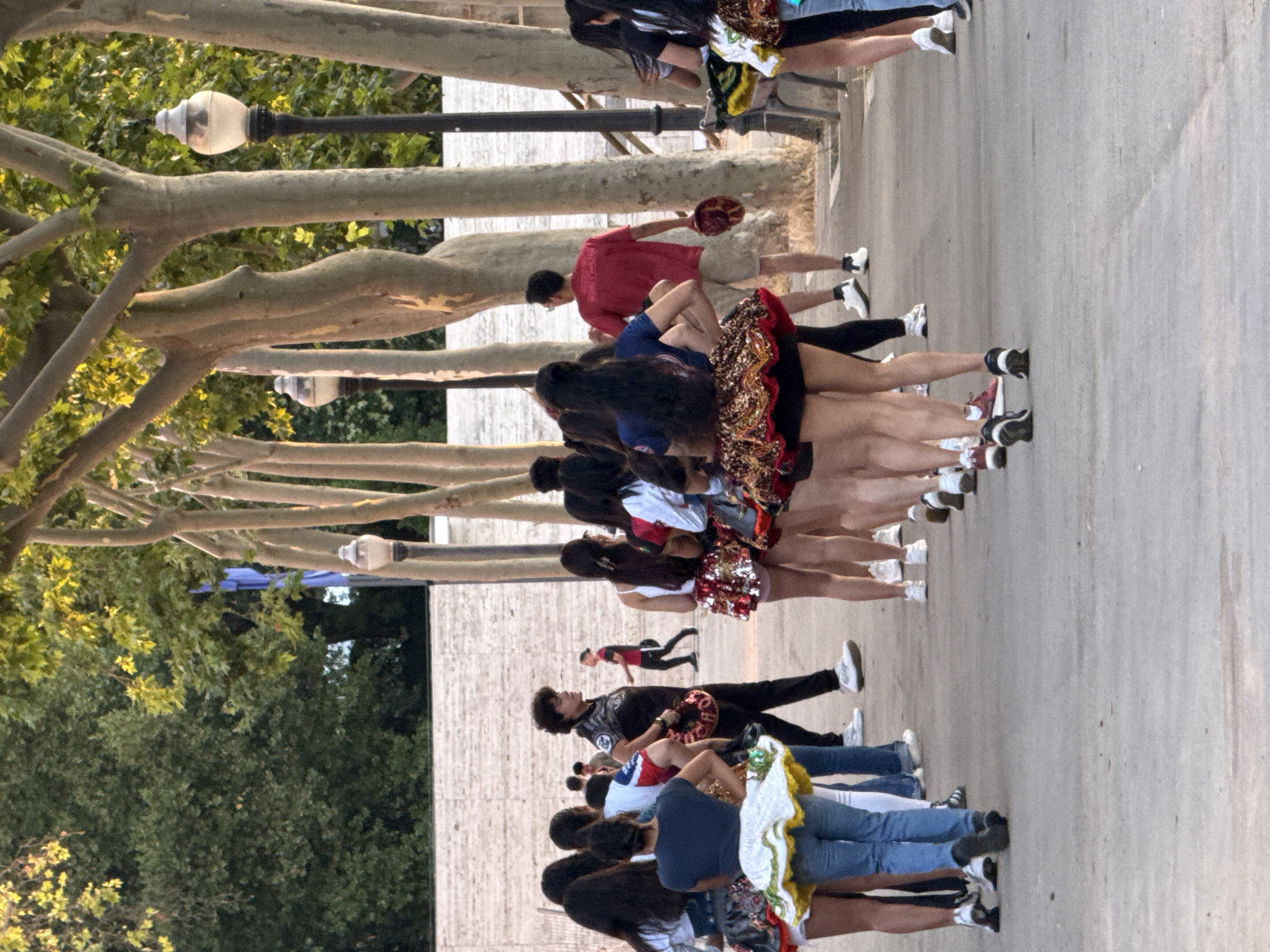 This media file depicts a group of people in what appears to be a parade or performance. The subjects are diverse in age and gender, many are wearing uniforms or performance attire, including skirts, pom-poms, and patterned sashes. The scene is set outdoors, with large trees and dappled sunlight suggesting it's daytime. The ground is paved, indicating a public space such as a street or plaza.
The activity appears to be a marching performance or a procession, with individuals standing in rows or a line. Some are holding what look like pompoms or small flags. The people are arranged vertically in the image, suggesting they are walking towards the viewer or away from the viewer. The overall atmosphere seems to be one of celebration or a community event.
Notable details include the presence of streetlights mounted on poles, hinting at an urban environment. The lighting suggests it is daytime, possibly late afternoon given the angle of the sun. There is no visible text in the image. The cropped hints reveal more details about the attire and the natural surroundings.