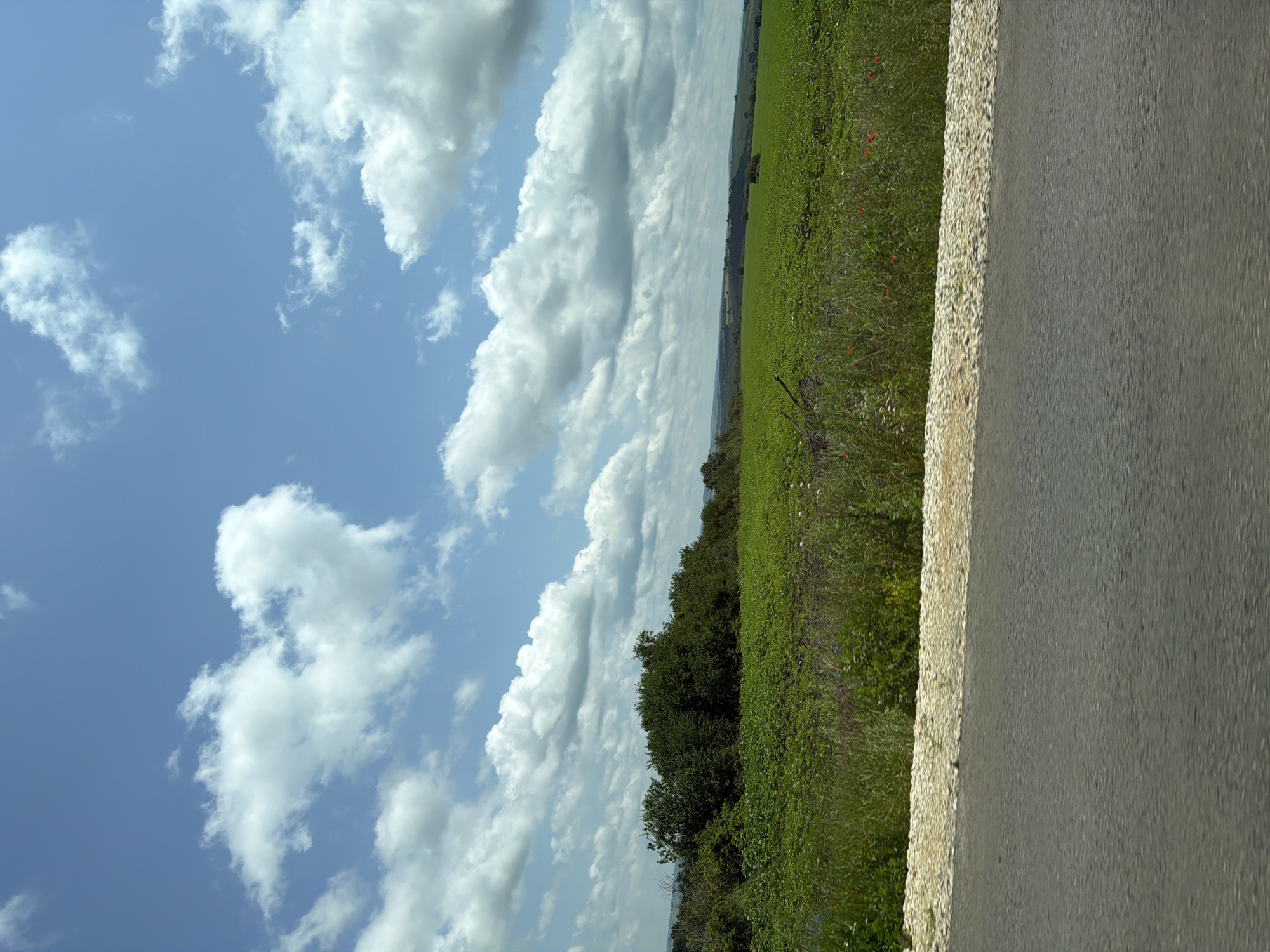 The image depicts a vibrant, sunny daytime rural landscape in Sadovets, Bulgaria, seen from a low angle, likely from a moving vehicle. The sky, occupying the upper left portion, is a clear blue adorned with numerous white, fluffy cumulus clouds of varying sizes.
Below the sky, a vast expanse of lush green fields stretches across the middle and background of the image, hinting at fertile agricultural land. Scattered small red flowers, possibly poppies, are visible within the green foliage, adding touches of color. In the mid-ground, a line of dark green trees or dense shrubbery runs horizontally, separating closer fields from those further in the distance. The horizon appears distant and slightly hazy.
In the foreground, on the right side of the image, is a section of a dark grey asphalt road, indicating a paved pathway through the countryside. A narrow strip of lighter-colored gravel or stone forms a shoulder, delineating the edge of the road from the adjacent green field. No people or visible text are present in the scene. The weather appears fair with good visibility, typical of a bright day with some cloud cover.