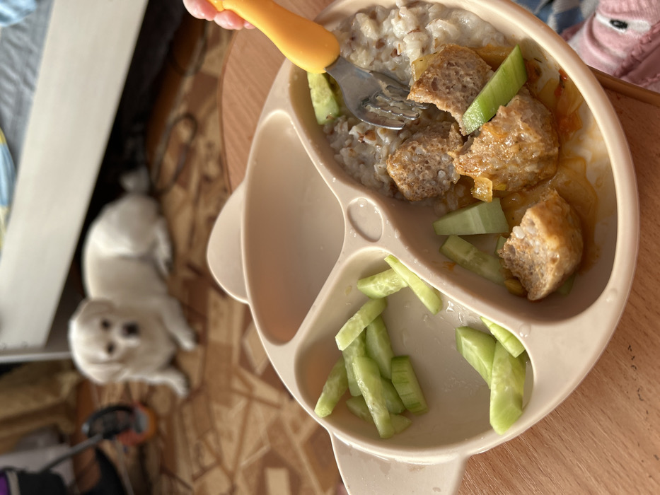 A divided plate holds a meal. One section contains buckwheat and meatballs, garnished with cucumber slices. A second section is filled with more cucumber slices. A yellow and silver fork pierces a meatball. A small, white dog lies on the floor, looking at the camera, while a child's arm and shirt are partially visible near the plate. The scene is set on a brown, patterned floor next to a white cabinet.