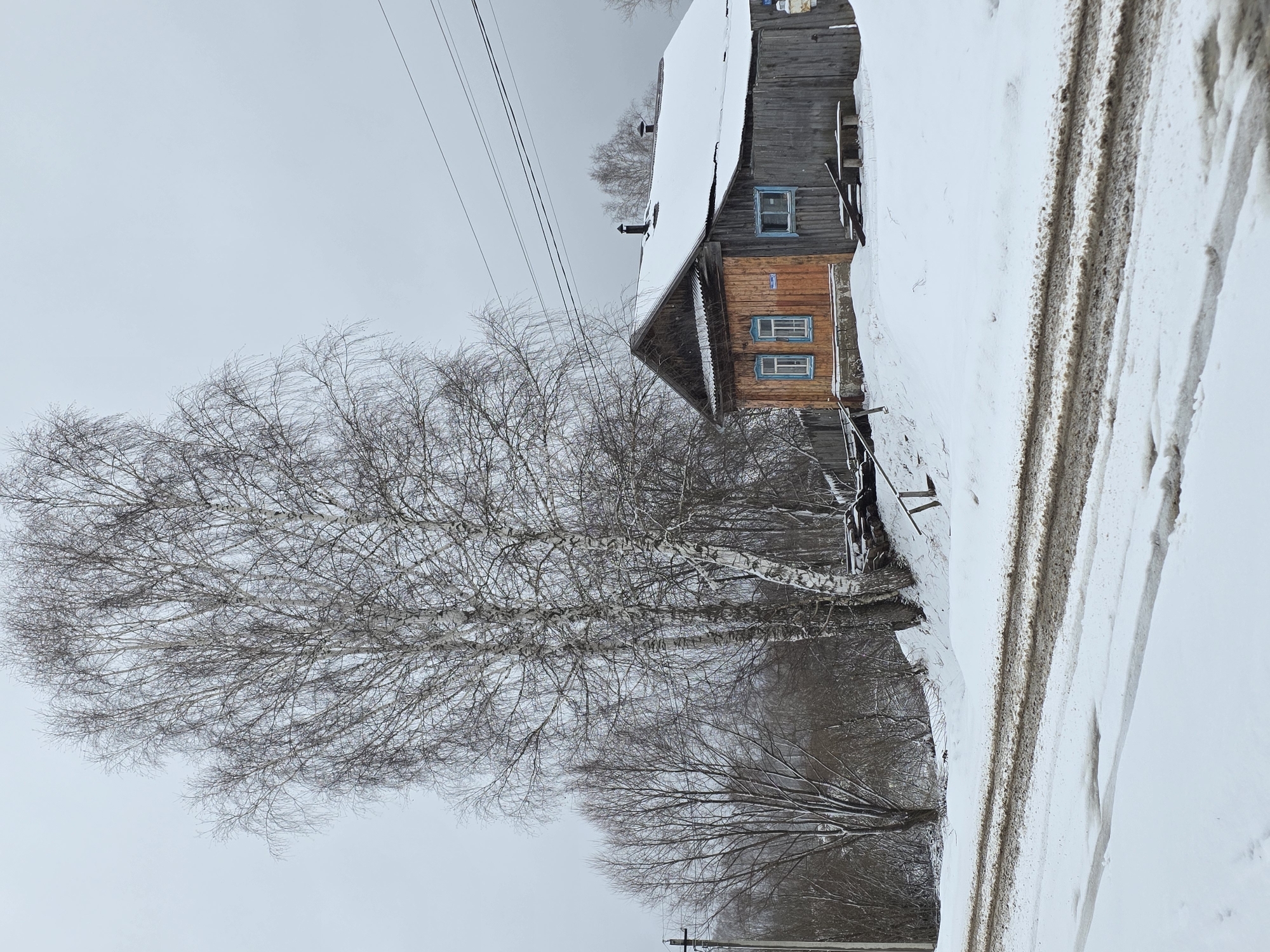 The image depicts a winter scene in Zipunovo, Russia. A wooden house with blue-framed windows is visible to the right, its roof covered in snow. A tall, bare birch tree dominates the left side of the frame. Snow covers the ground, with tire tracks visible on the right. Overhead power lines stretch across the sky. The sky is overcast and gray.