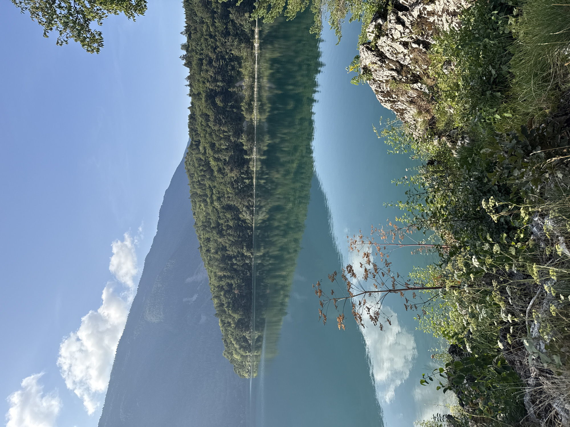 A serene, wide-angle vertical shot captures a tranquil lake with a forest-covered mountain range in the background under a clear blue sky dotted with a few white clouds. The foreground is a rocky outcrop with lush green vegetation and dry stalks of plants. The calm surface of the turquoise lake reflects the sky, clouds, and the dense green forest, creating a mirror image. The lighting suggests it is daytime, likely late morning or early afternoon. The scene appears to be in a natural, mountainous area, with no visible man-made structures or individuals. The location is described as Unknown, Italy.
