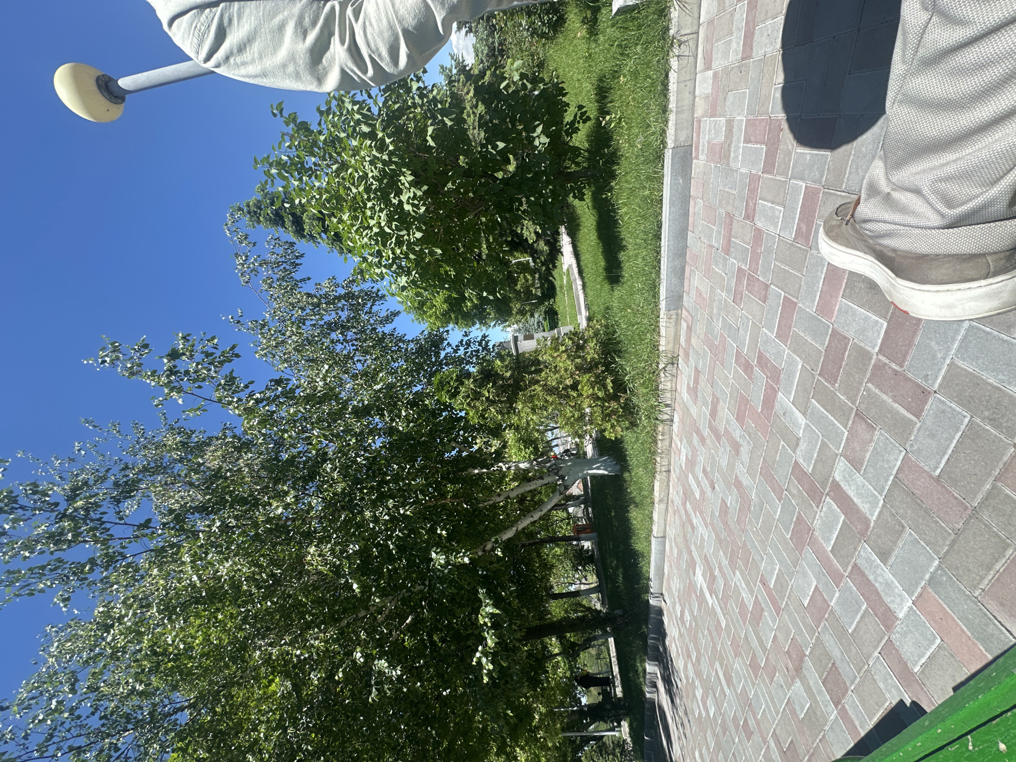 A person stands on a brick pathway in Yerevan, Armenia. The pathway is lined with grass and trees, and a street lamp is visible overhead. The sky is blue.