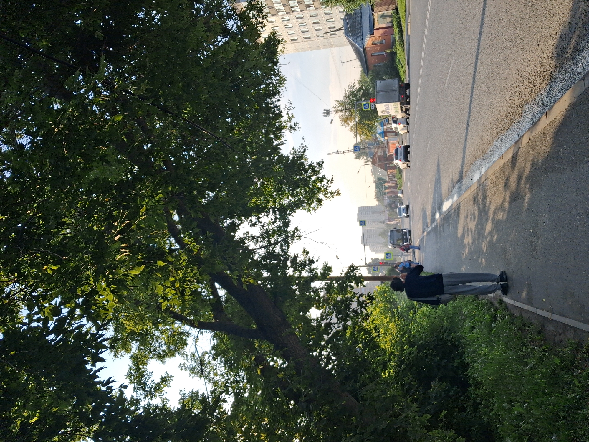 A person wearing a dark jacket and light gray pants stands on a sidewalk next to a tree. The person is facing away from the camera, towards a street with traffic. The street has several cars and a truck. In the background, there are buildings and a power line. The sun is shining and casts shadows on the sidewalk. The scene appears to be in an urban or suburban area, likely in Novosibirsk, Russia, given the architectural style and the presence of specific traffic signals.