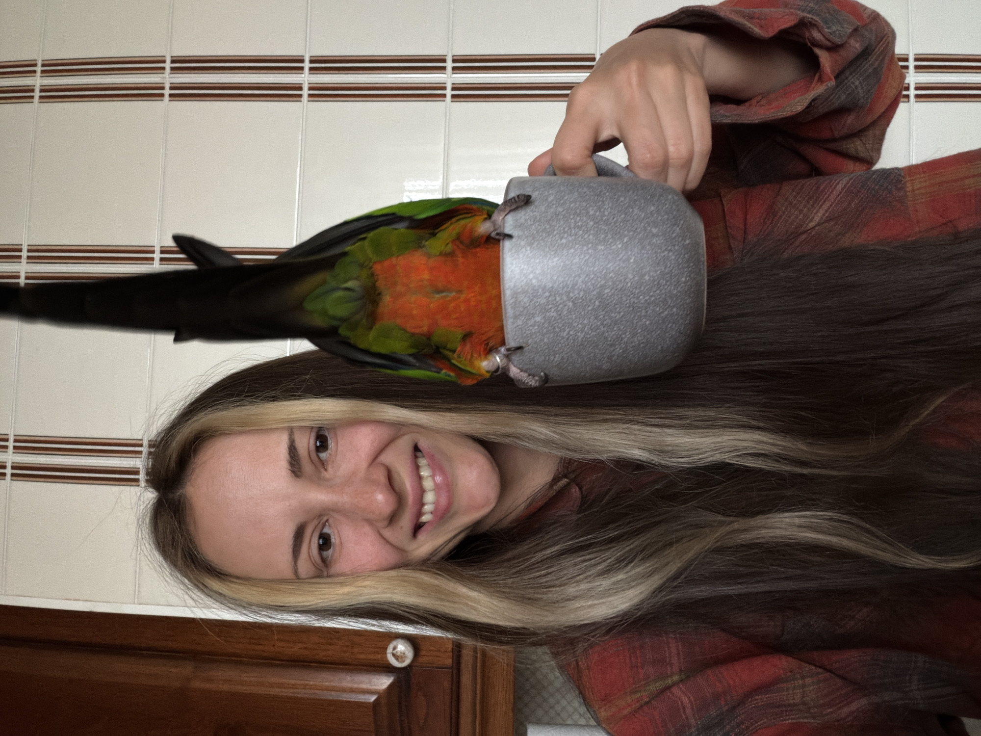 The image, presented sideways, captures a young woman joyfully interacting with her pet parrot in an indoor setting. The woman, with long dark hair and striking blonde highlights framing her face, smiles broadly, revealing her teeth. She wears a red and dark plaid long-sleeved shirt. She holds a grey, textured mug with her right hand. Perched on the mug, seemingly upside down, is a colorful parrot, likely a Green-cheeked Conure, identifiable by its vibrant green wings, bright orange and red belly, and dark tail. Its head is submerged in the mug, with its feet gripping the rim.
The background features white rectangular wall tiles accented with horizontal brown stripes, suggesting a domestic environment such as a kitchen or living room. A wooden cabinet with a light-colored knob is visible in the bottom left corner. The bright, even lighting indicates it is daytime. The woman's cheerful expression conveys happiness and amusement during this playful interaction with her bird. There is no visible text. This scene is located in Khimki, Russia.