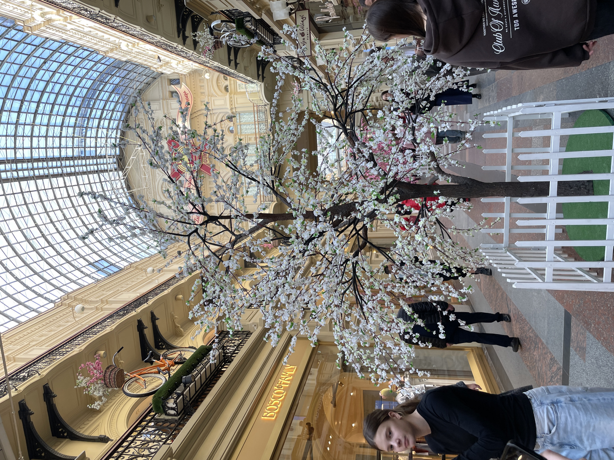 Here is a description of the image:
The photo shows an indoor scene, likely a shopping mall or grand atrium, with a large artificial cherry blossom tree as a focal point. The tree, with its black branches and profuse white blossoms, stands in the center of the frame, partially surrounded by a white picket fence with a faux grass base. People are milling about, including a woman wearing light blue jeans in the bottom right corner and another person in a brown hoodie in the top right corner.
In the background, the multi-tiered architecture of the building is visible, with ornate balconies and signage. The name "BOSCO FAMILY" is prominently displayed on a store facade. On one of the upper levels, an orange bicycle with a basket of flowers is mounted on the wall as decoration.
The atrium is topped with a large, arched glass ceiling that allows natural light to flood the space. The location is likely a high-end shopping center, judging by the architectural details and the presence of designer brands. The photo includes visible texts like “aqu”, “ofco Ciliegi”, “FAMILY” and “Club Of Avenue”. While it’s not possible to confirm with certainty the location being in Khimki, Russia from the image, it is highly probable given the visual characteristics and the location information is provided.