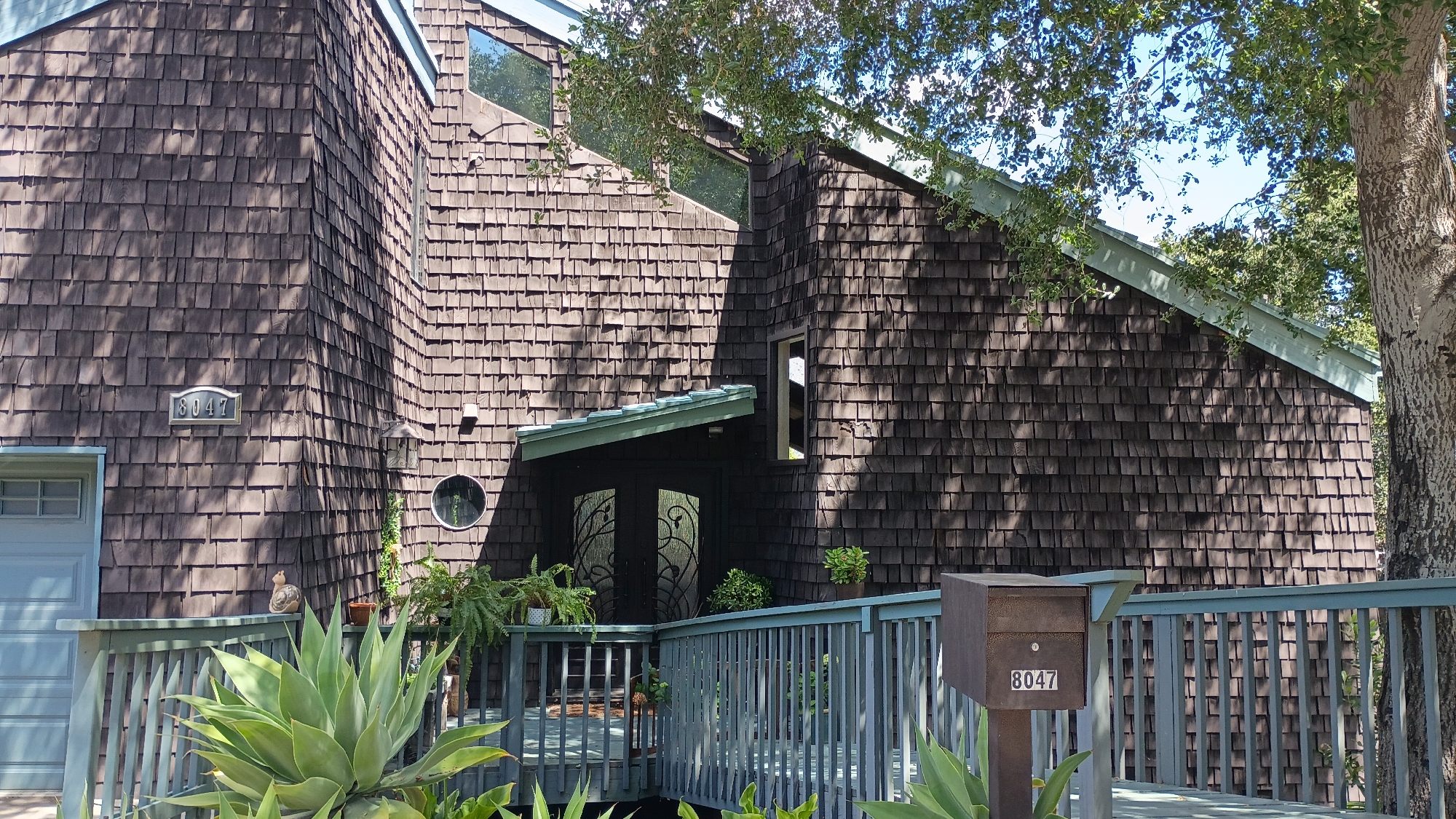This image presents the front exterior of a distinctive residential house in Los Angeles, United States of America, under bright daylight. The house features dark brown wood shingle siding that covers most of its walls, giving it a rustic yet modern aesthetic. The architecture includes varied angles and a mix of window shapes, with triangular windows visible near the roofline, a rectangular window on the right side, and a circular window near the main entrance.
A light blue wooden railing and deck lead up to the front door, which consists of dark double doors adorned with ornate, light-colored scrollwork patterns. A small, light blue awning extends over the entrance. To the left, a light blue garage door is visible. The foreground and porch area are decorated with various green plants, including large, agave-like succulents and potted ferns. A small, light brown ceramic bird or animal figurine rests on the railing near the garage.
The bright sunlight casts dappled shadows from an overhead tree onto the house's siding and the wooden railing, suggesting a clear and sunny day. The trunk of a large tree is visible on the far right.
Two instances of the house number "8047" are clearly visible: one on a rectangular plaque mounted on the shingle siding above the garage door, and another on the front of a brown, rectangular mailbox positioned on a post beside the wooden railing. No people are present, and no specific activity is taking place, depicting a serene residential scene.