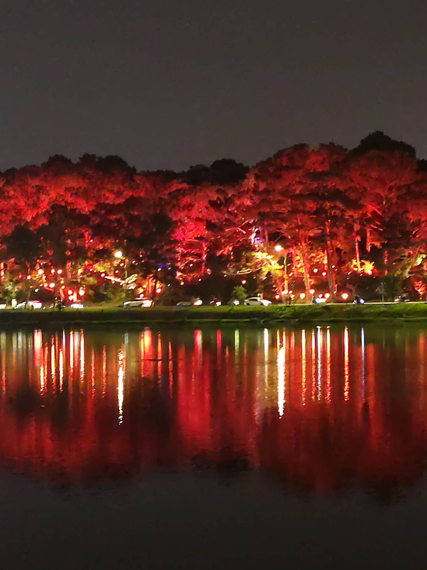 The image presents a vibrant night scene in Da Lat, Vietnam, characterized by a body of water reflecting a row of heavily illuminated trees. The trees, lining the opposite bank, are adorned with an abundance of vivid red lights, interspersed with some yellow and orange hues, creating a dramatic and festive visual.
These bright lights cast long, shimmering reflections onto the dark surface of the water, appearing as vertical streaks of red and orange that mirror the illumination above. Behind the trees, a road or pathway is discernible, along which several vehicles, including a white car, are visible, either parked or in motion. A few brighter streetlights are also integrated within the illuminated foliage. While indistinct, a couple of small figures might be present near the road, suggesting people are enjoying the illuminated setting.
The time of day is clearly night, with a dark sky over the illuminated landscape. The calm and clear reflections in the water indicate still weather conditions, likely without strong winds or rain. The overall ambiance is one of warmth, festivity, and charm, brought forth by the rich red lighting. No visible text is present in the image.