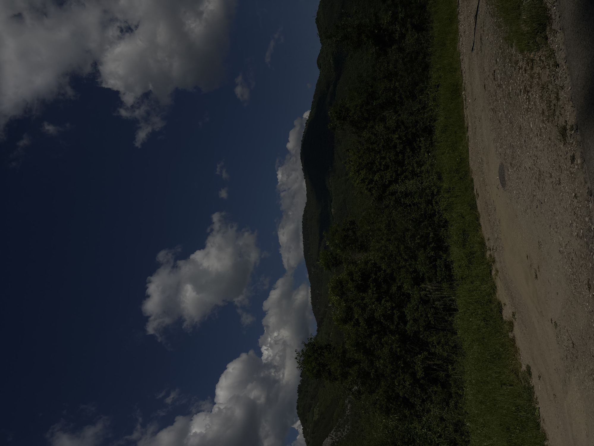 A ground-level, outdoor scene, potentially depicting the landscape in the city of Unknown, Unknown. The view includes a blue sky with fluffy white clouds, a tree-covered hill, and a dirt road or path along with some green grass. The image appears to be rotated to the left.