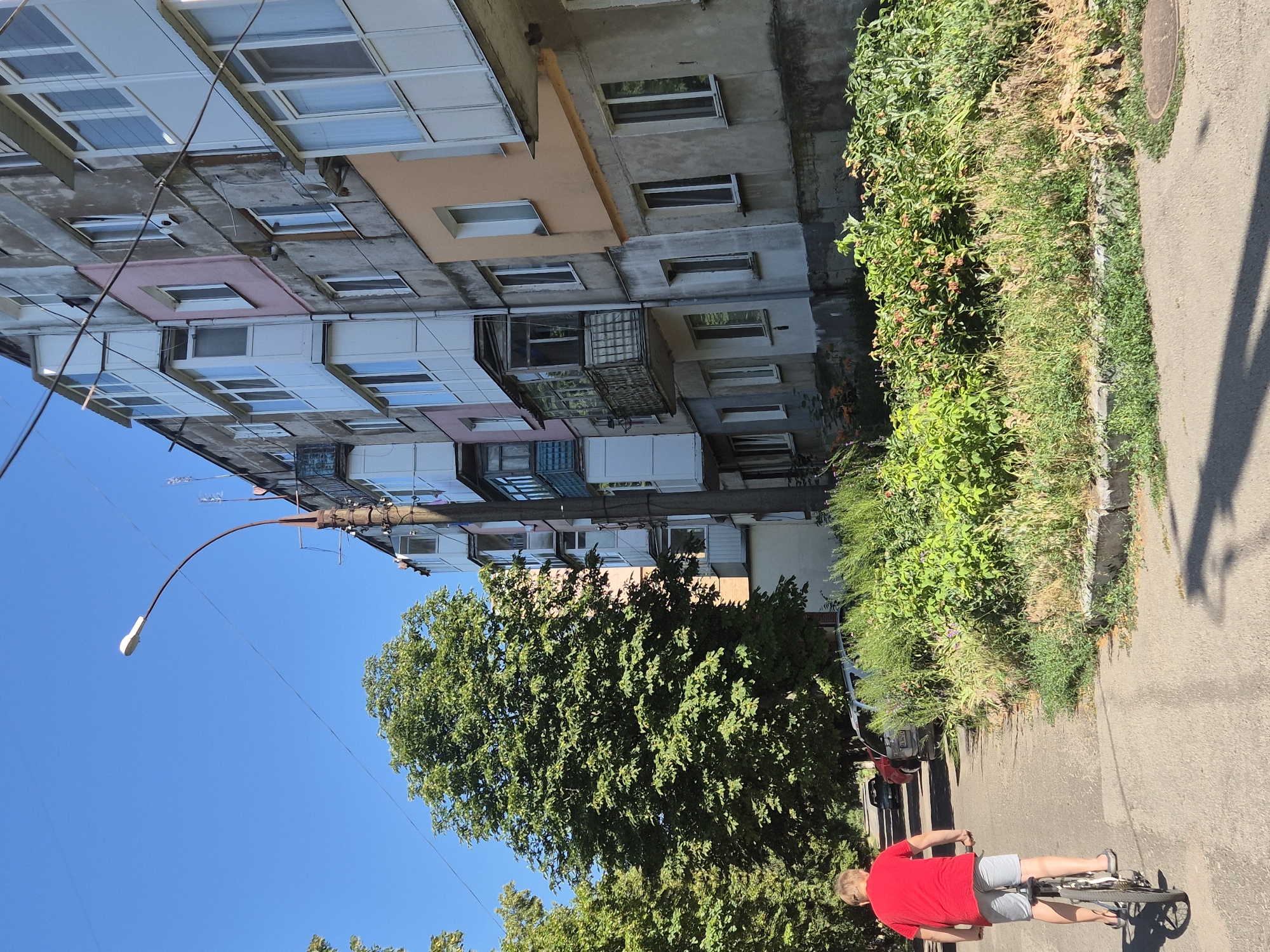 The image depicts a sunny day in a residential area, likely in Sozonivka, Ukraine. A person wearing a red t-shirt and grey shorts is riding a bicycle on an asphalt road. The rider is facing away from the camera, their back is to the viewer, and they are in motion.
To the left of the road, a multi-story apartment building stands, showing signs of age with weathered concrete facades and varied window styles. Some balconies are visible, some enclosed with glass and others open. The building's exterior is a mix of neutral tones, with some sections painted in pale pink and beige.
Adjacent to the building and lining the road is a lush green area filled with dense bushes and trees. The vegetation appears vibrant and healthy, suggesting a warm season. The bright blue sky indicates clear weather and likely daytime.
Further down the road, a street lamp with a curved arm is visible, extending over the sidewalk. In the background, more trees and glimpses of other buildings or vehicles can be seen, hinting at a typical urban or suburban landscape. The overall impression is one of everyday life on a pleasant day. There is no visible text in the image.
