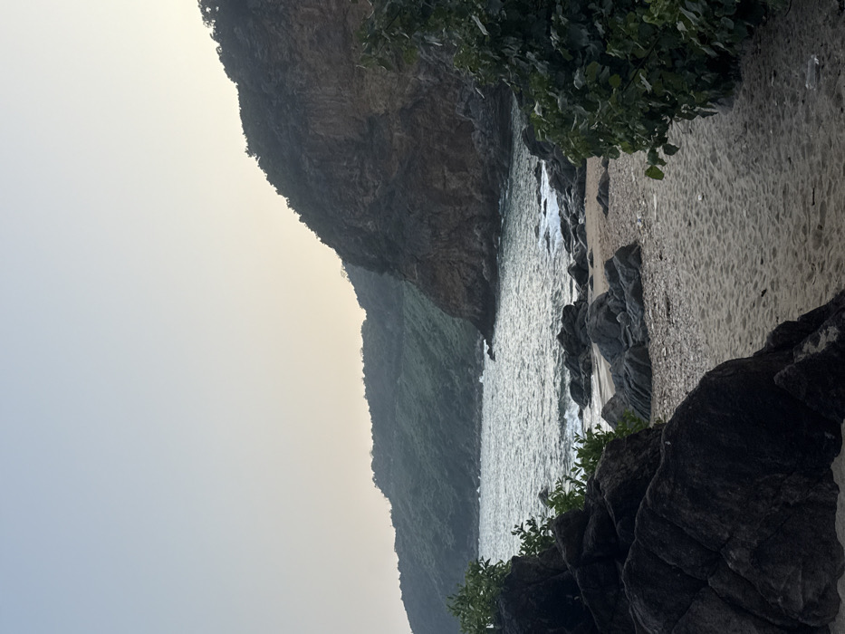 This image presents a natural coastal landscape within Sơn Trà Ward, Vietnam. The sky displays a clear gradient from light blue overhead to pale yellow-orange near the horizon, suggesting either early morning or late evening. The background is dominated by a chain of dark green, heavily forested hills and mountains, with a prominent, steep, dark brown rocky cliff face visible on the right. The sea features choppy, dark grey water with white-capped waves breaking on the shore. The shoreline consists of a sandy beach interspersed with numerous dark grey to black rocks of varying sizes. Green foliage from bushes partially frames the lower left and right foreground. No human figures, animals, or artificial structures are visible in the scene.